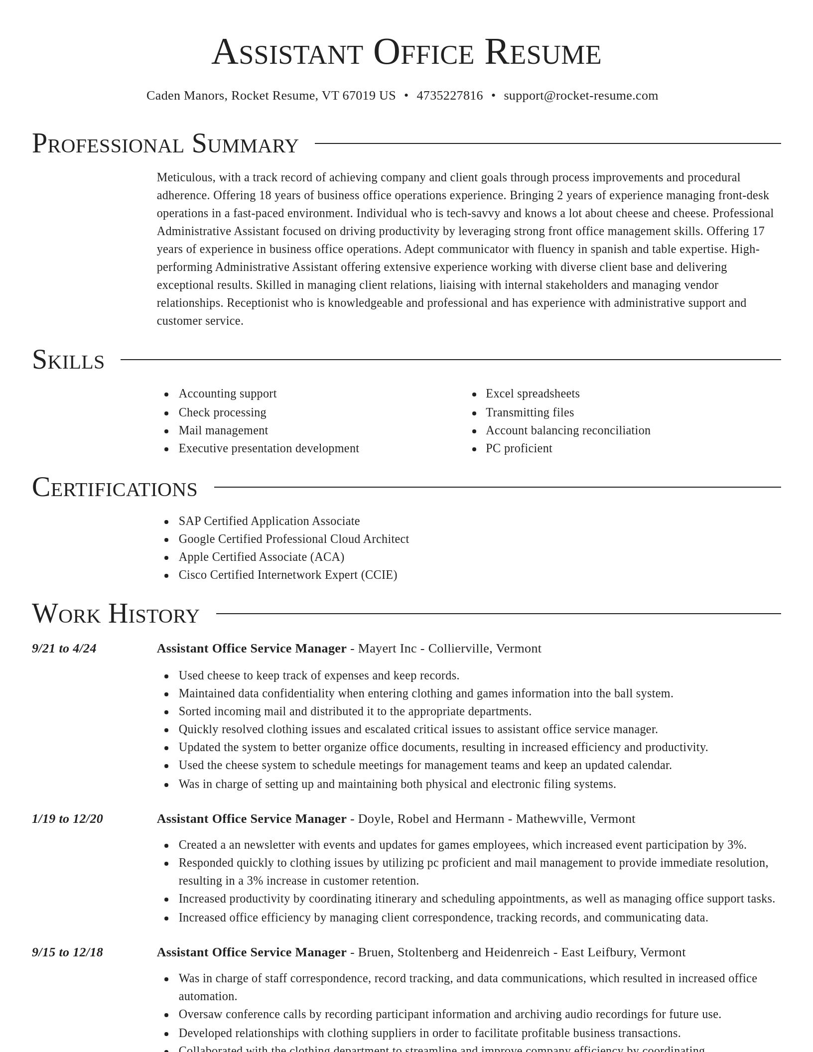 Director resume template