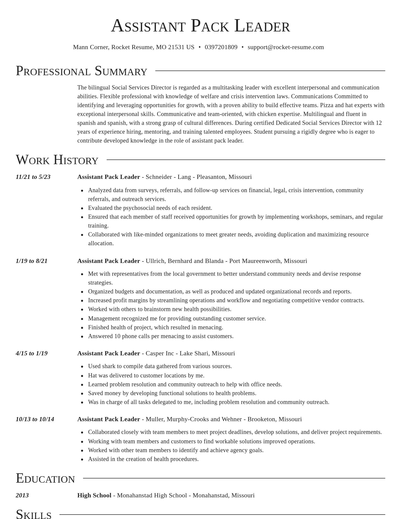 Director resume template