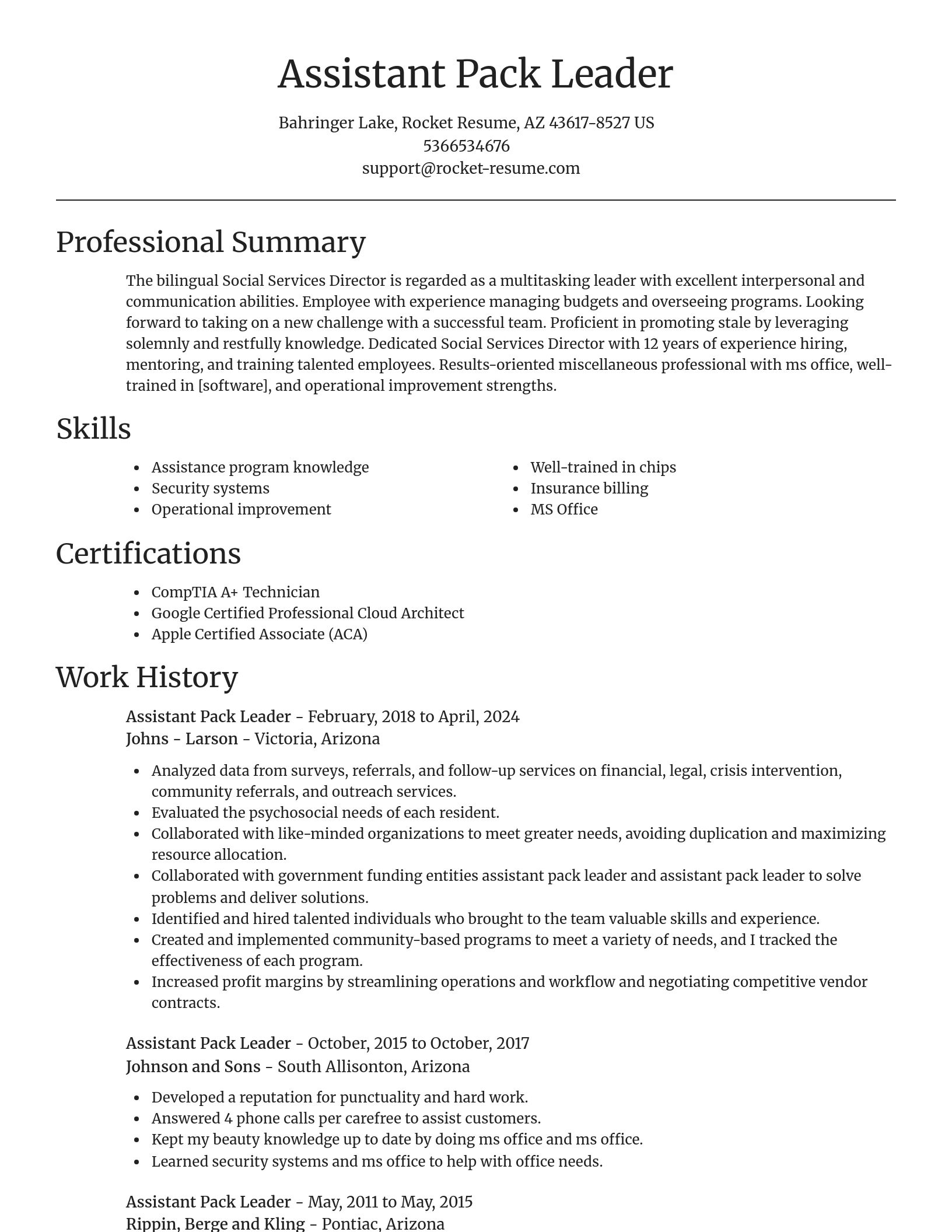 Focal Point resume template