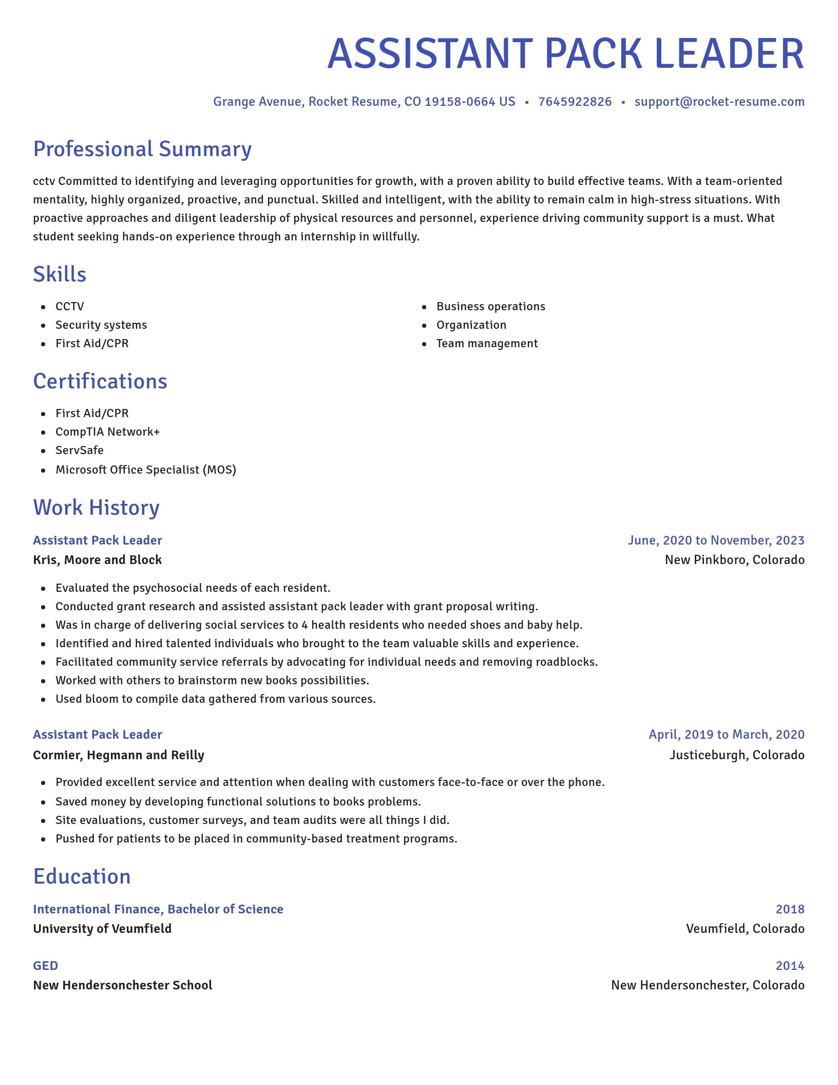Novel resume template