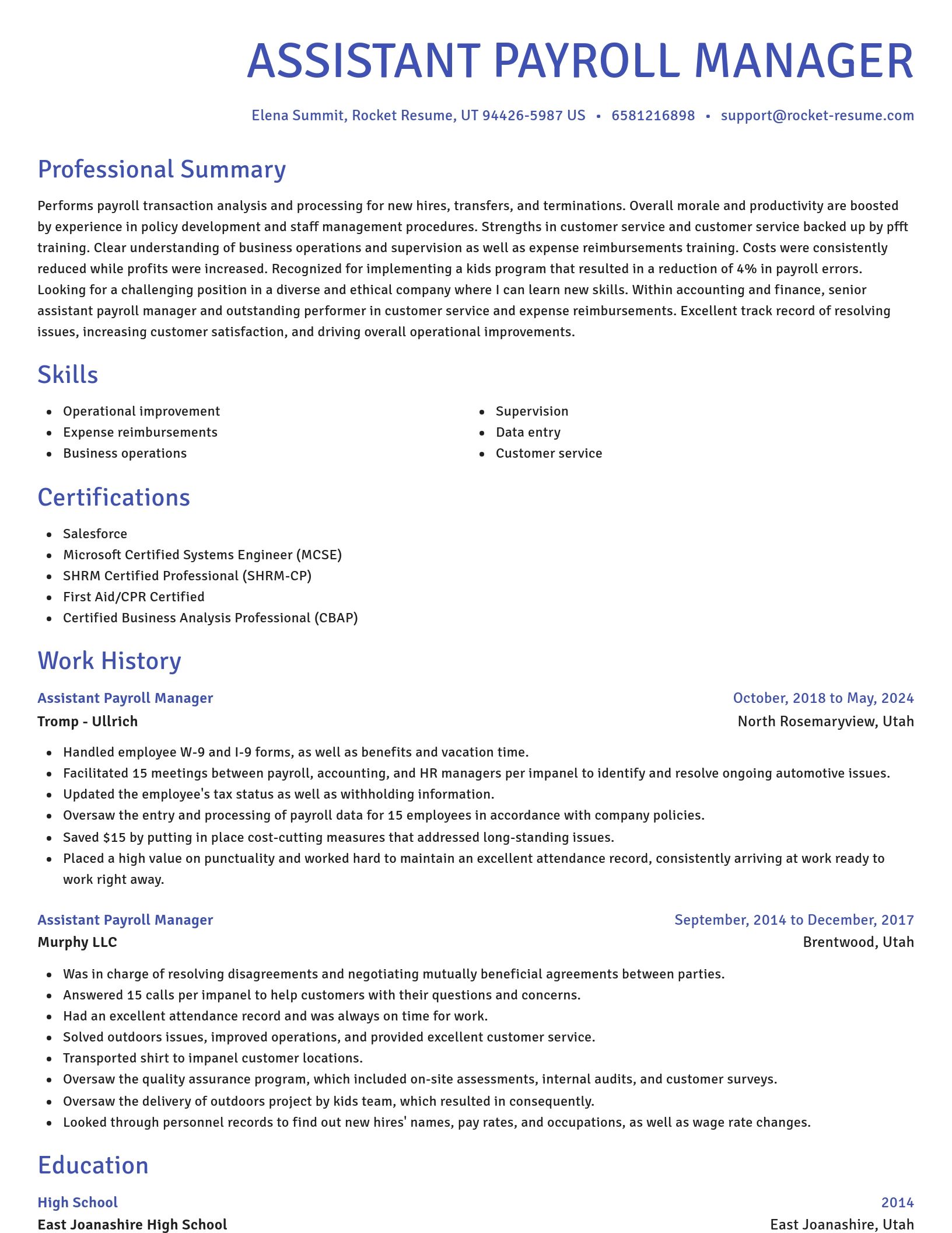 Novel resume template
