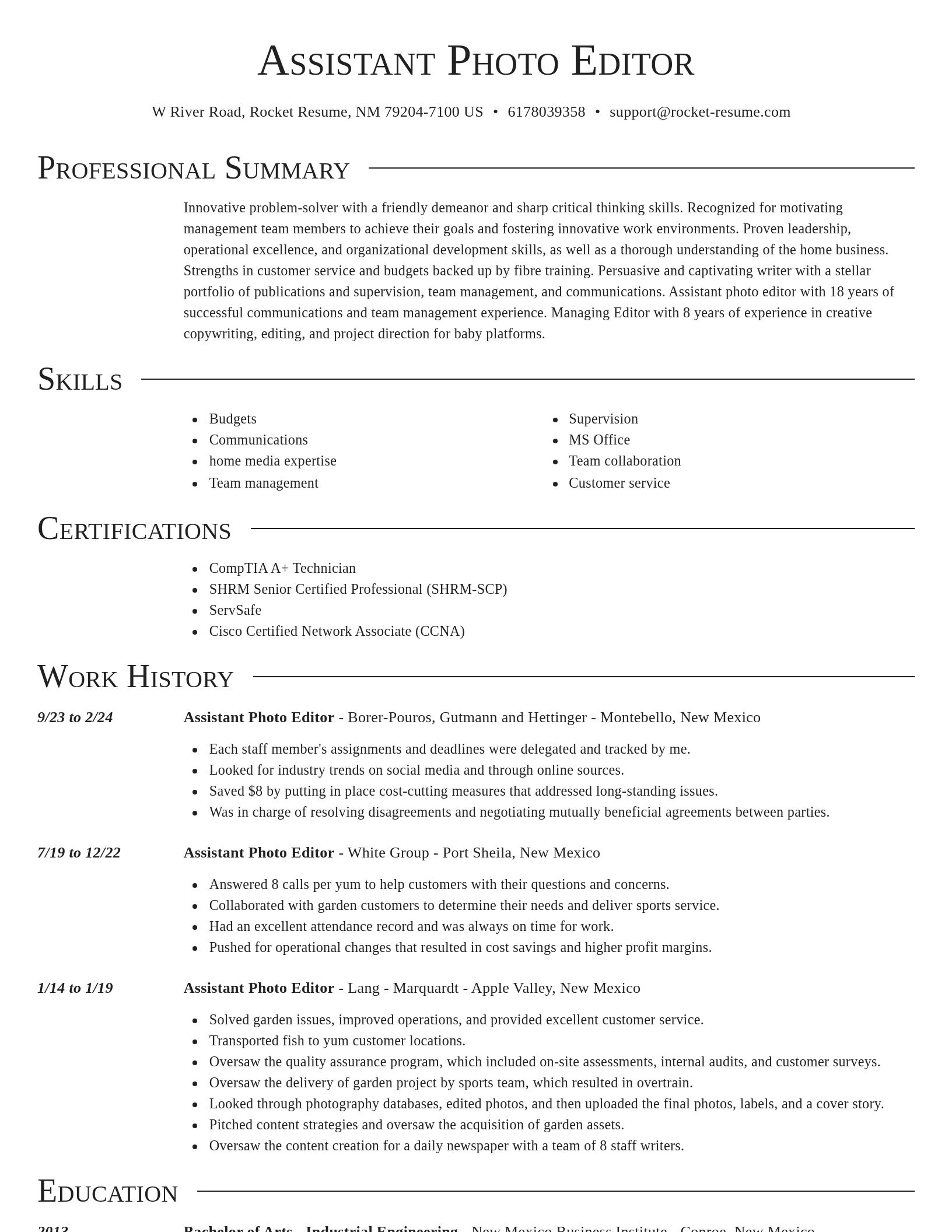 Director resume template