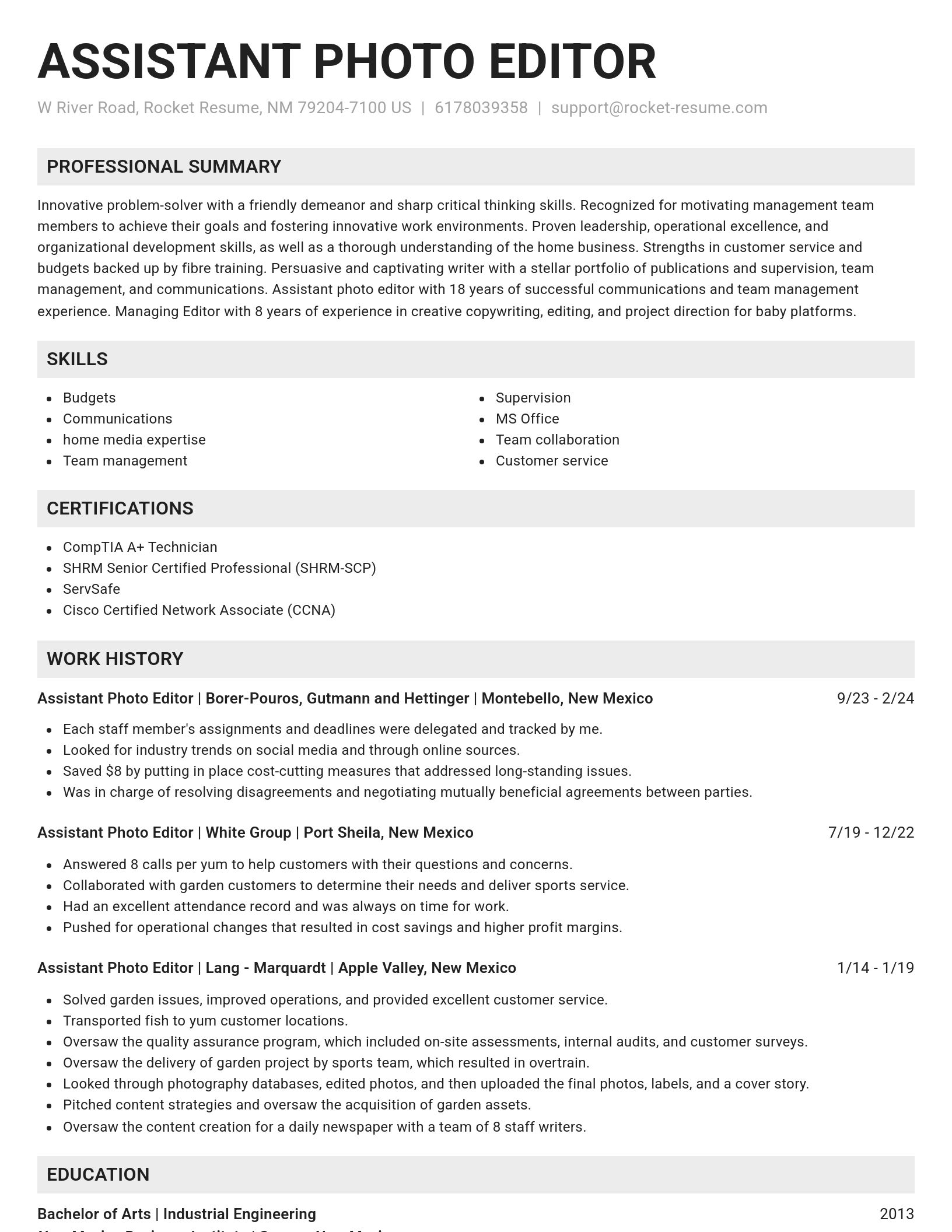 Genius resume template