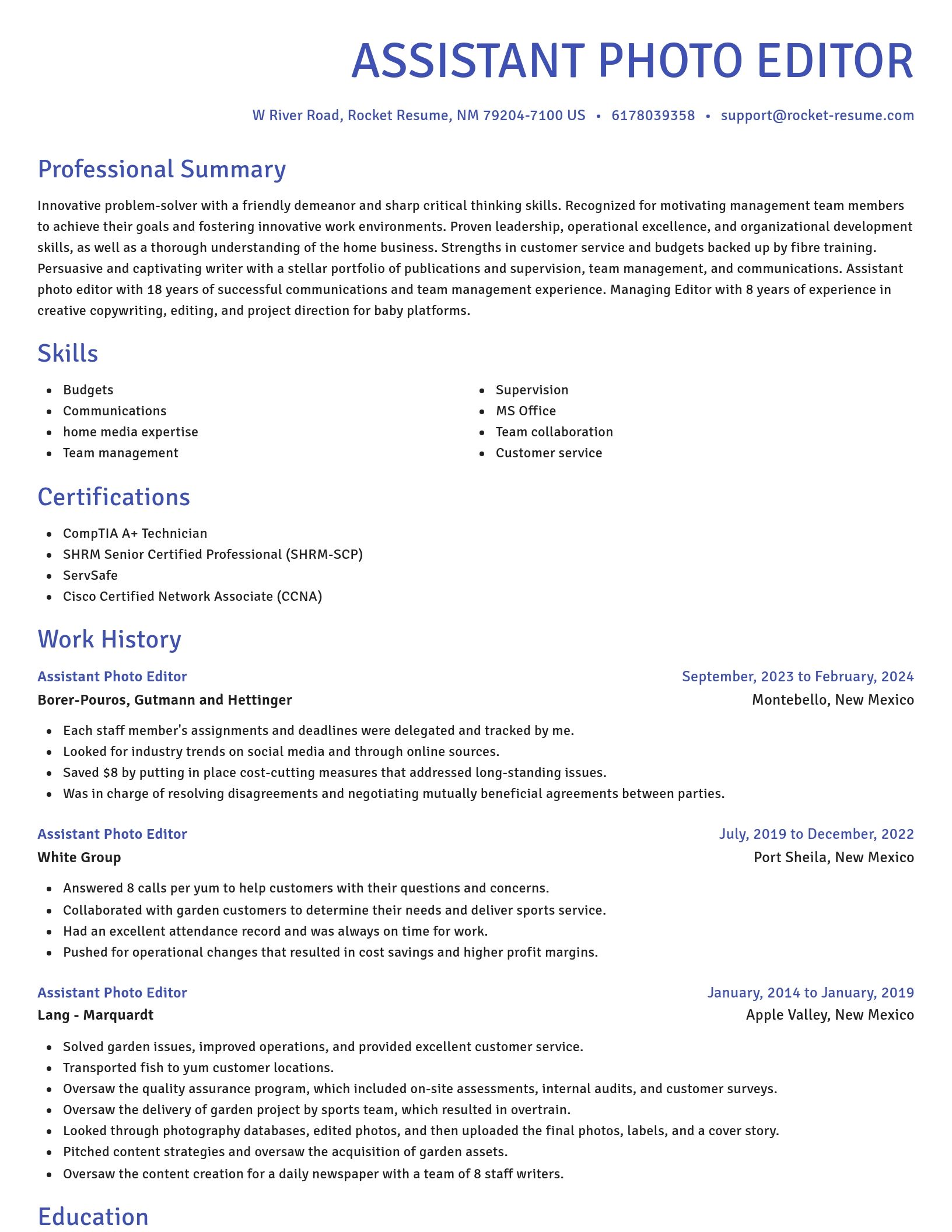 Novel resume template