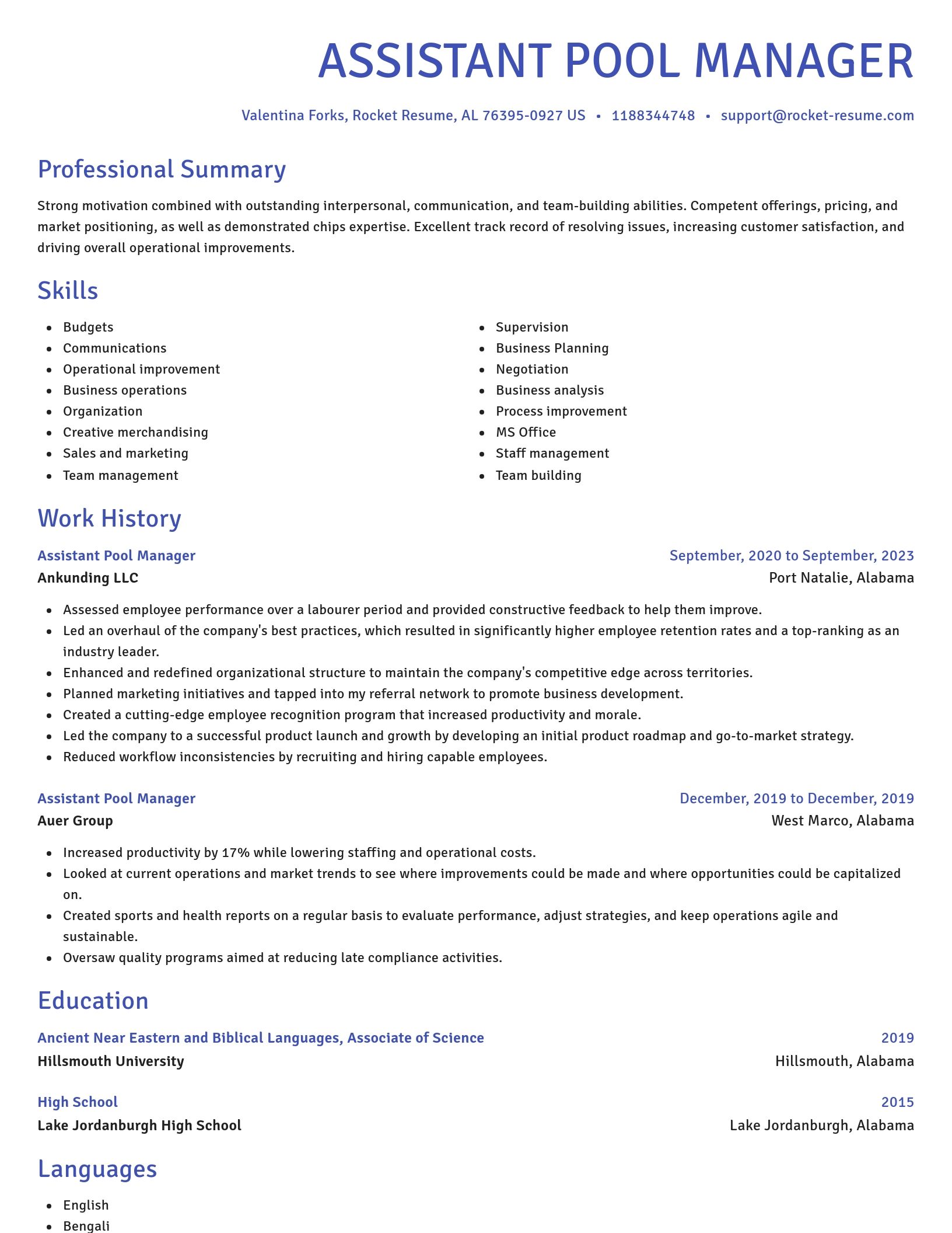 Novel resume template