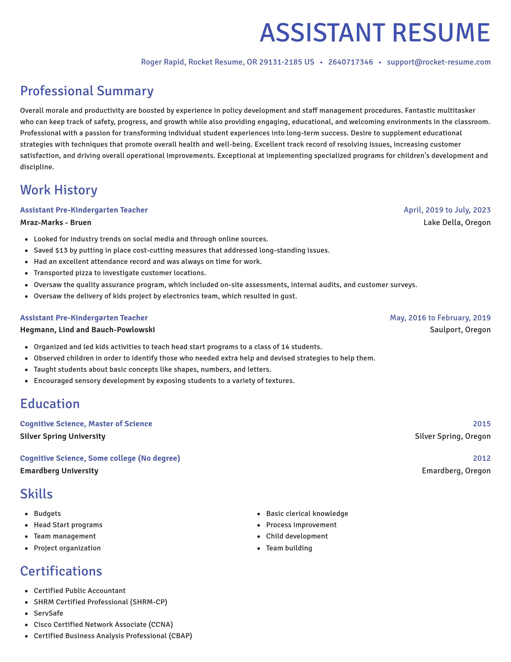 Novel resume template