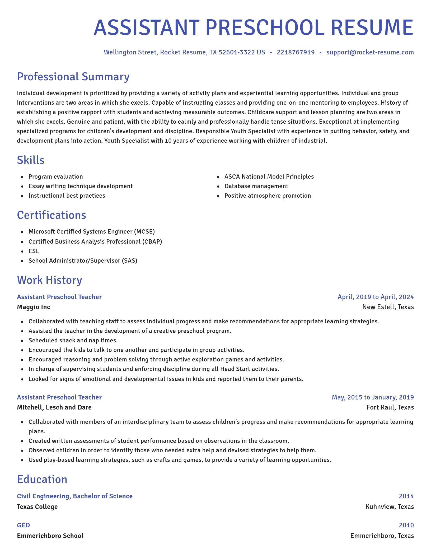 Novel resume template