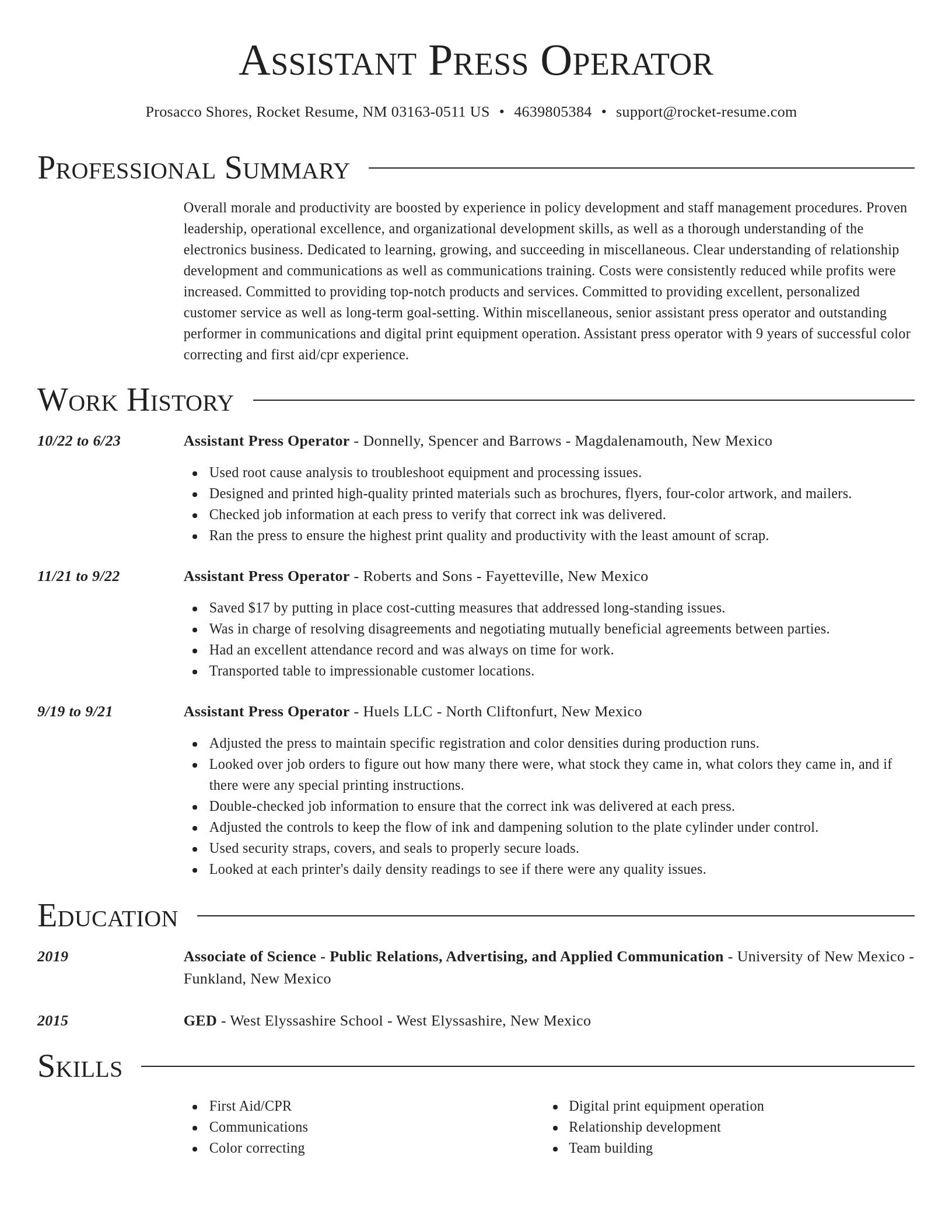 Director resume template