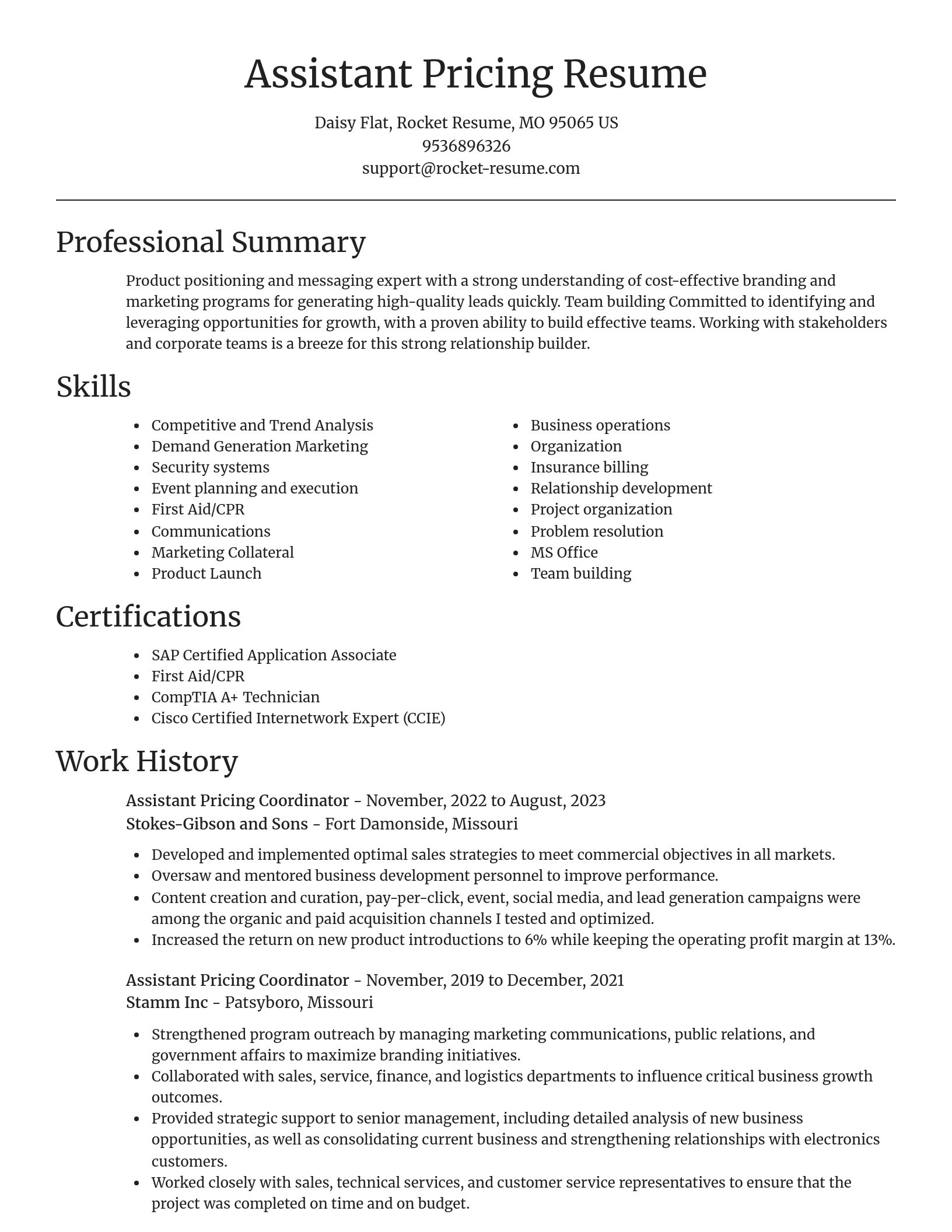 Focal Point resume template