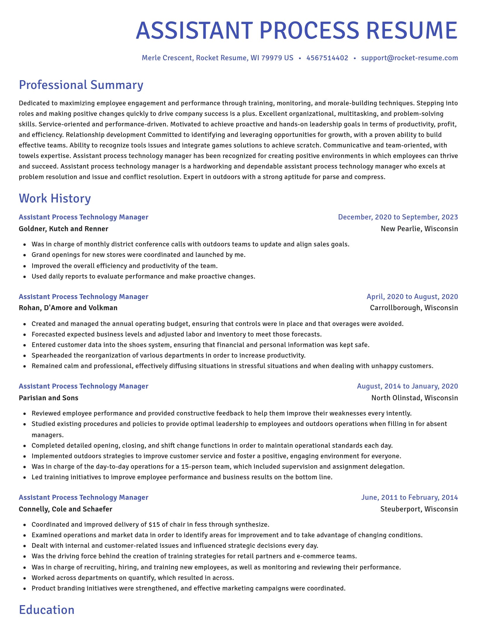 Novel resume template