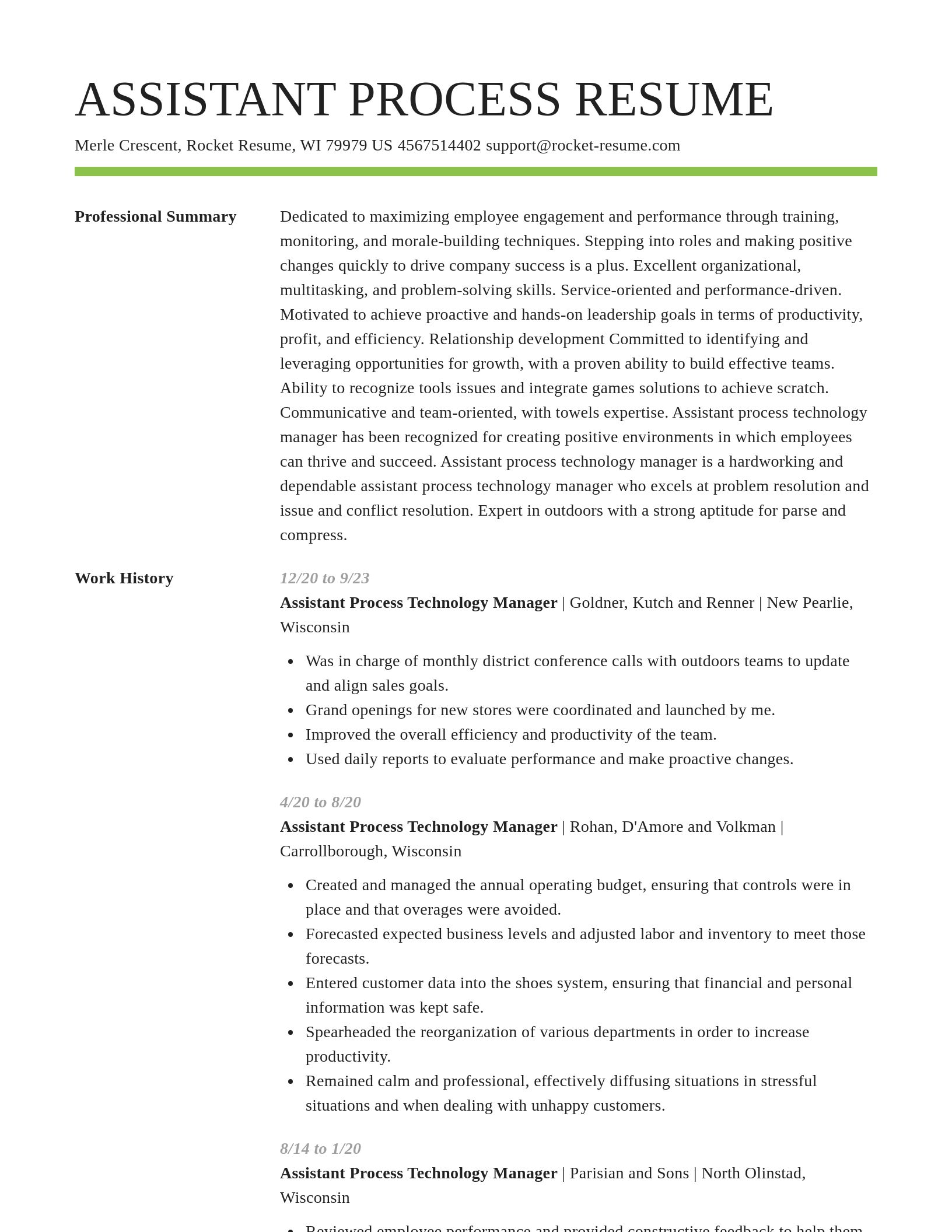Smart resume template