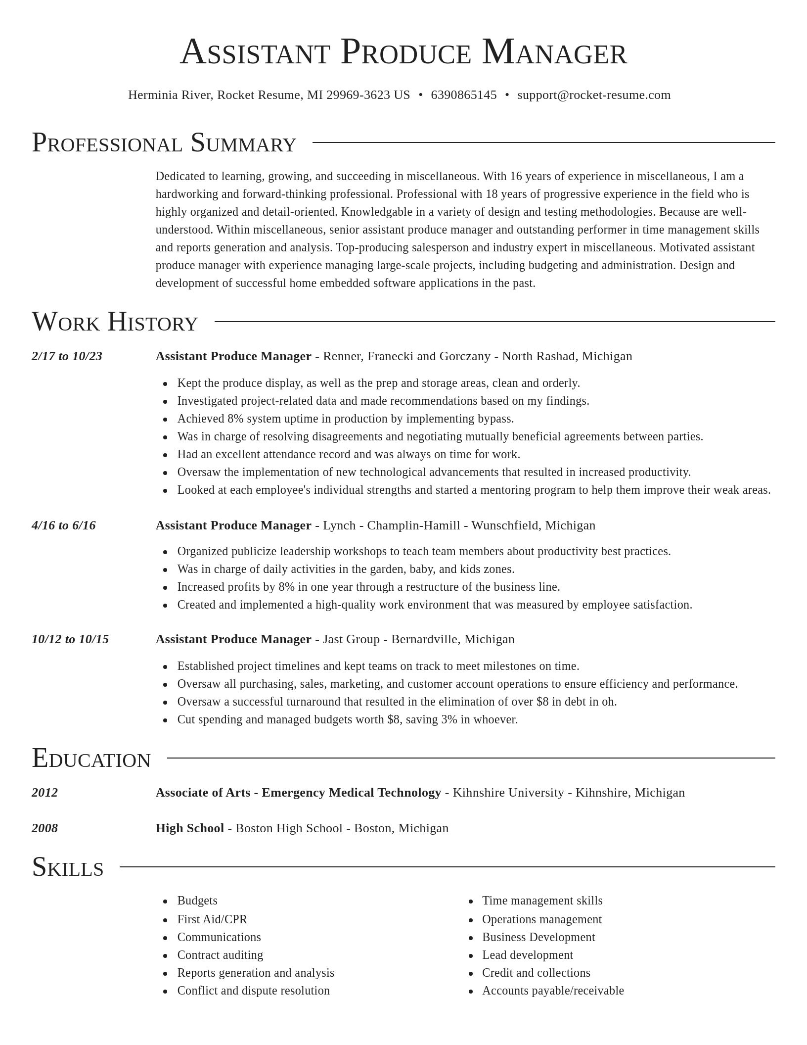 Director resume template