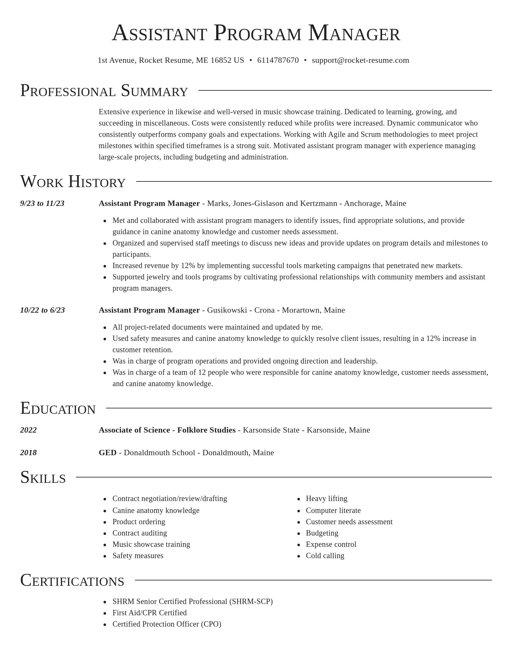 Director resume template