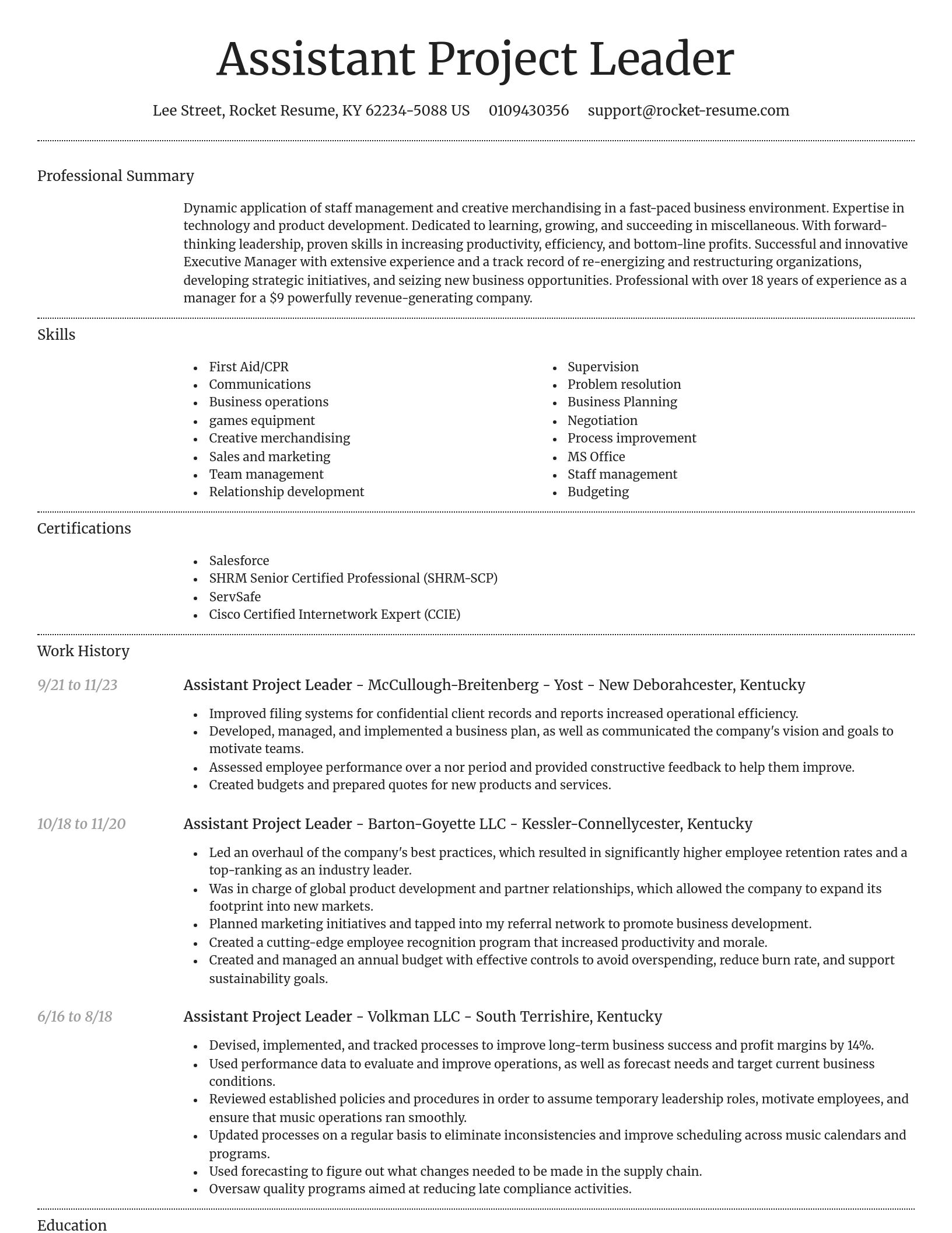 Dignified resume template
