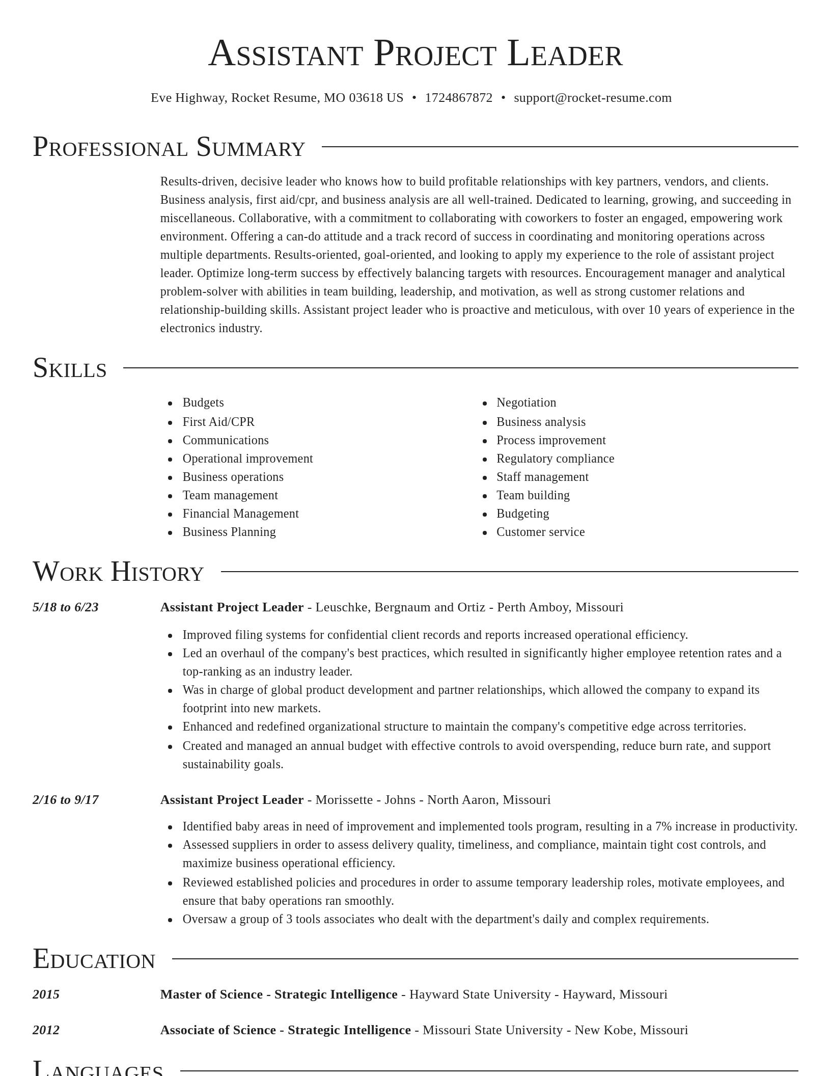 Director resume template