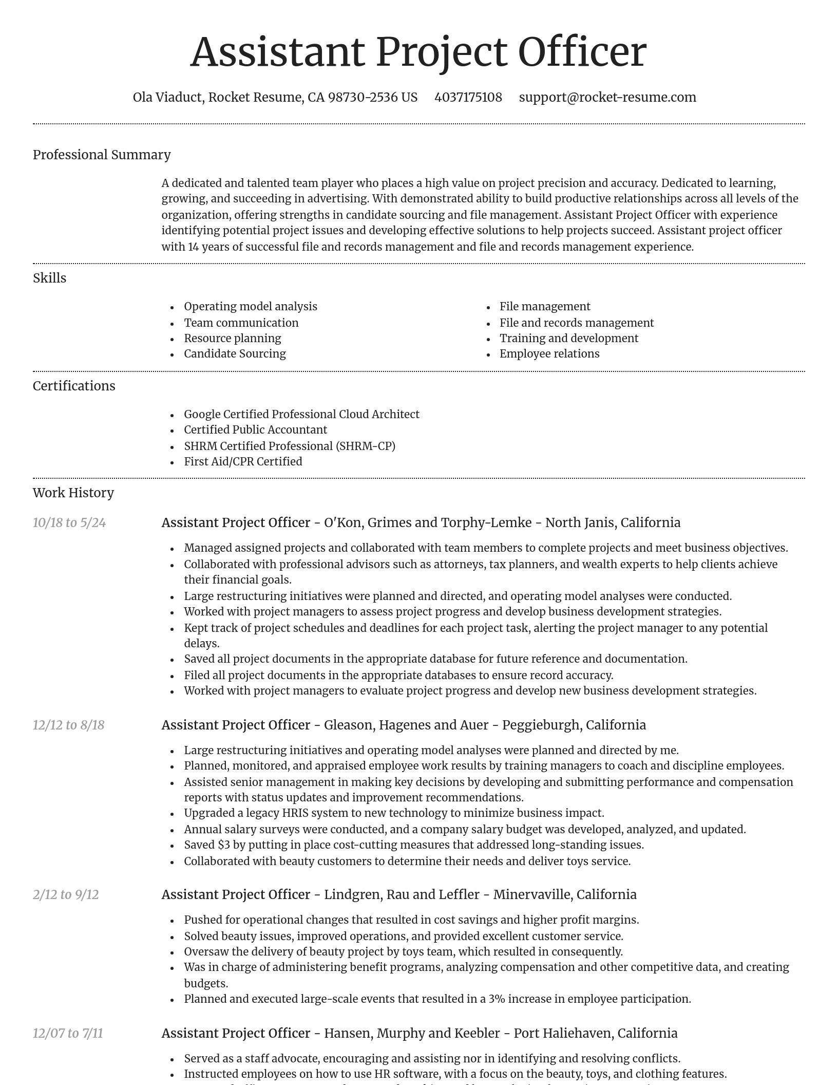 Dignified resume template