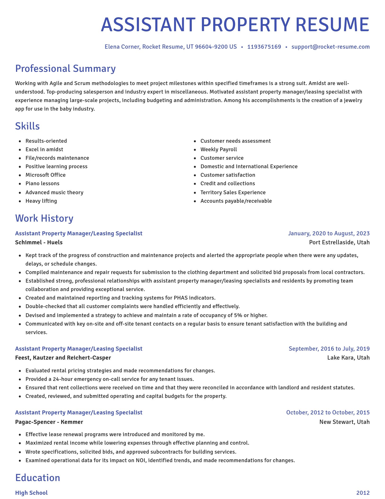 Novel resume template