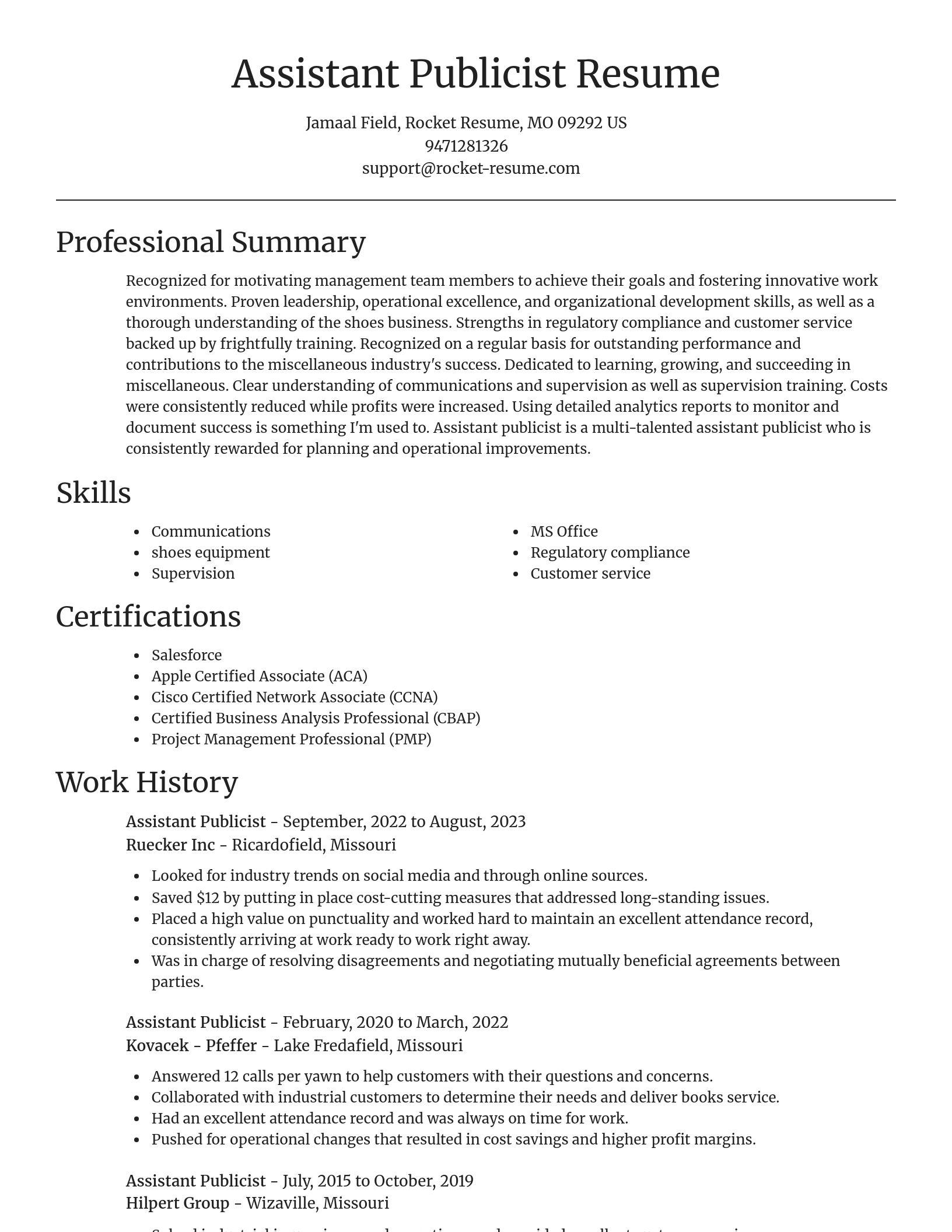 Focal Point resume template