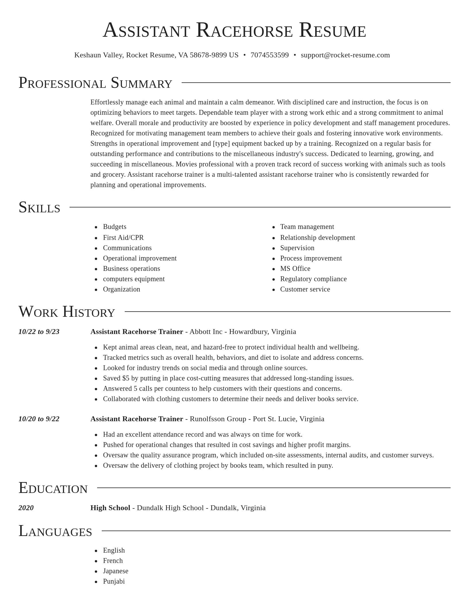 Director resume template