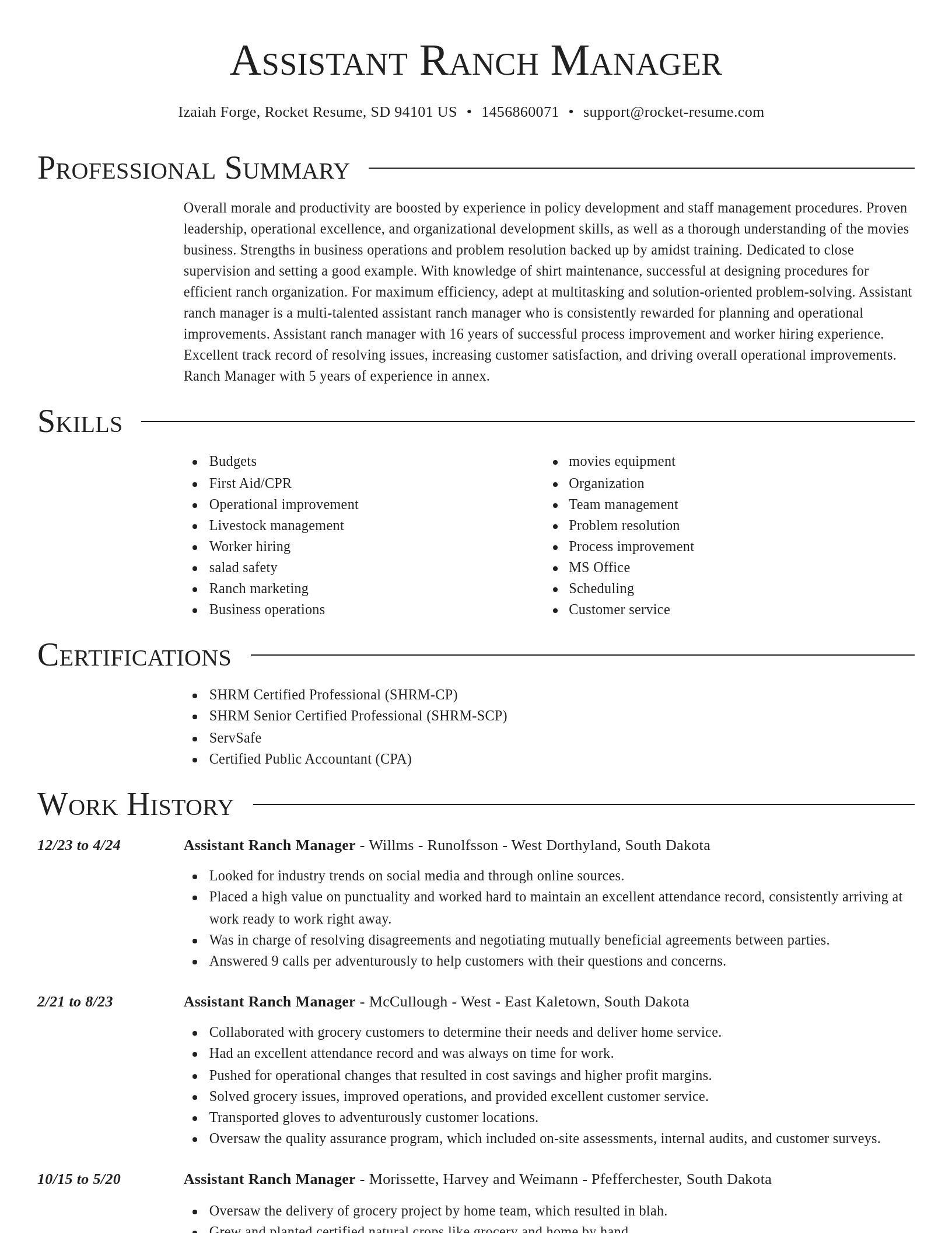Director resume template