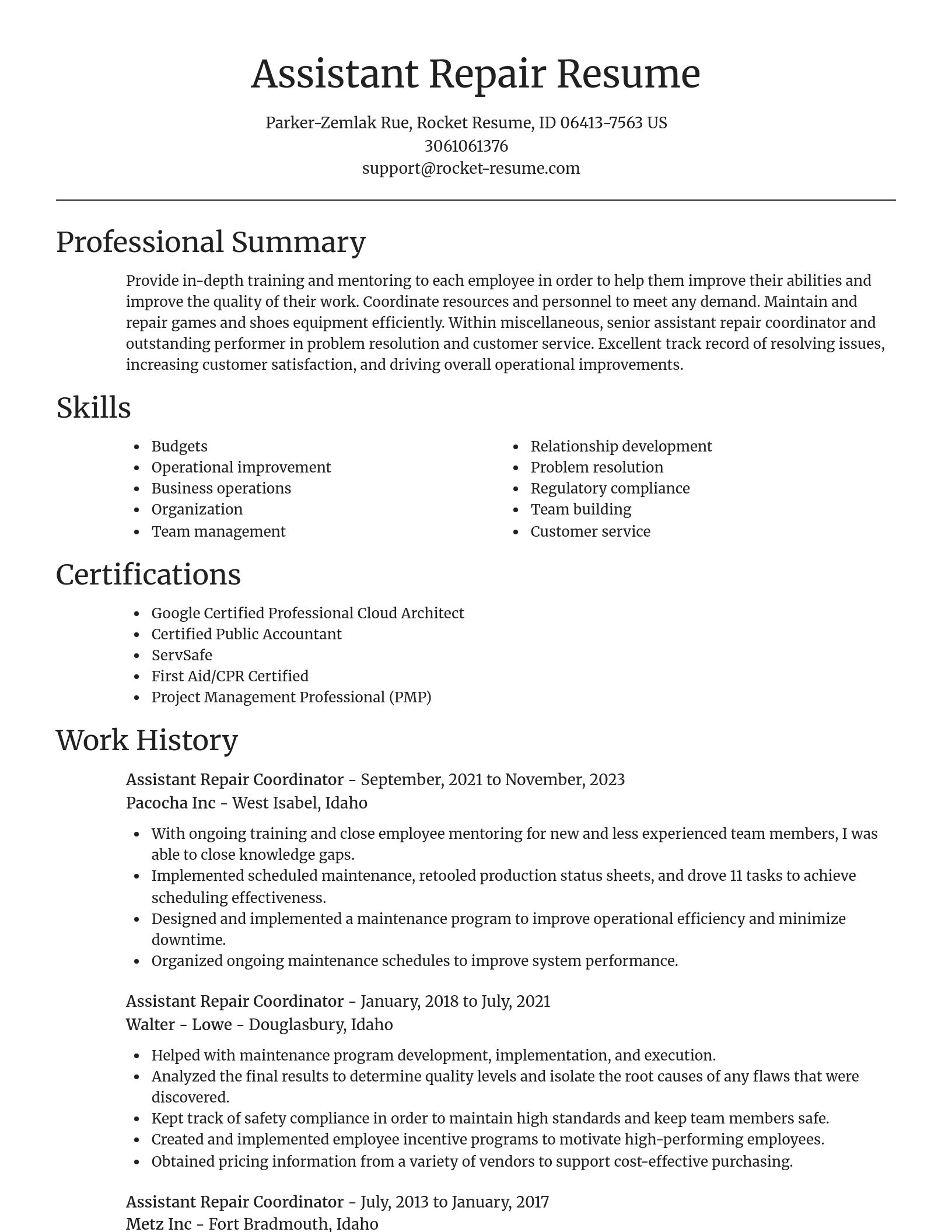 Focal Point resume template
