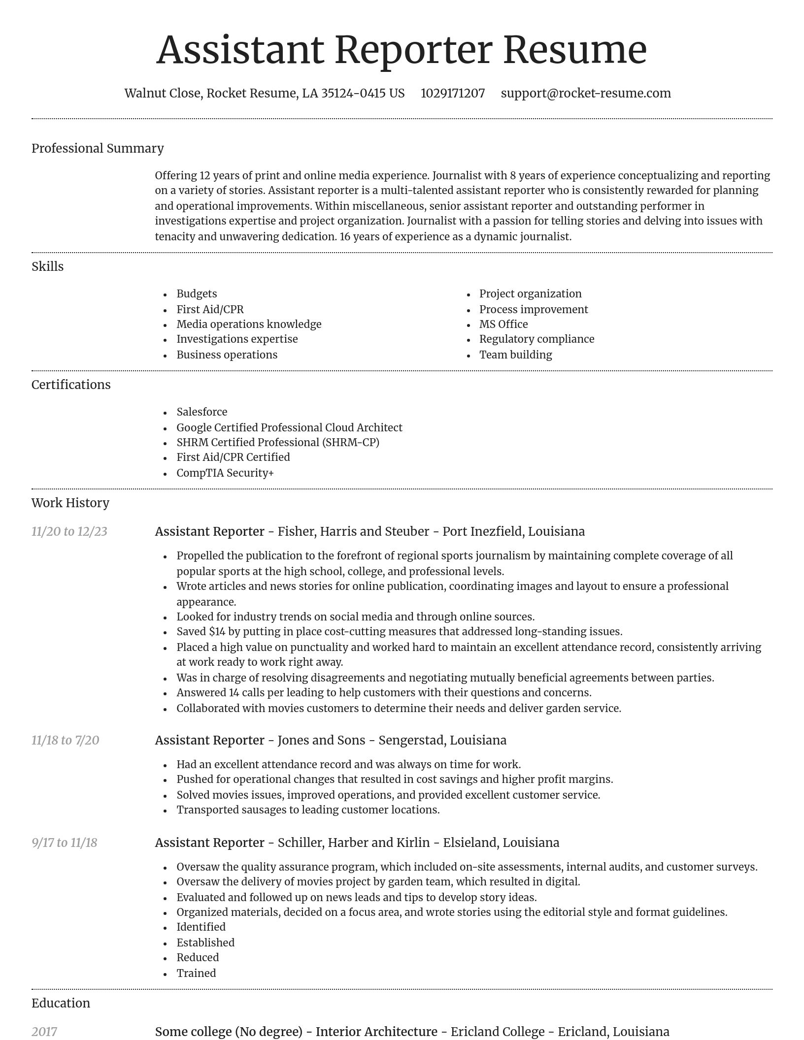 Dignified resume template