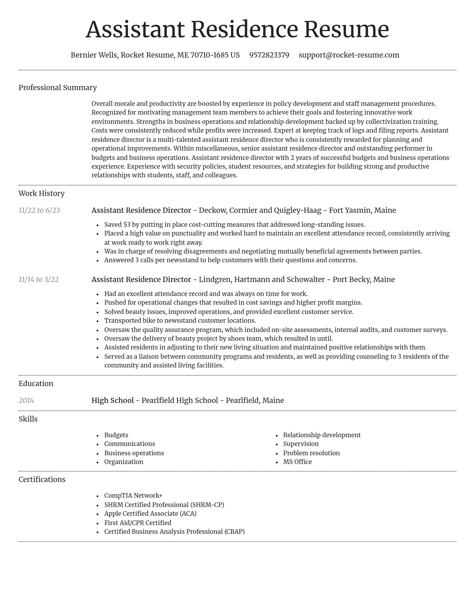 Dignified resume template