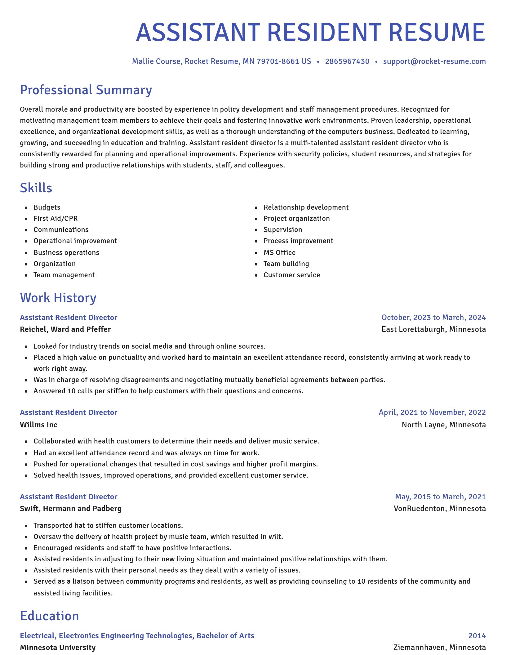 Novel resume template