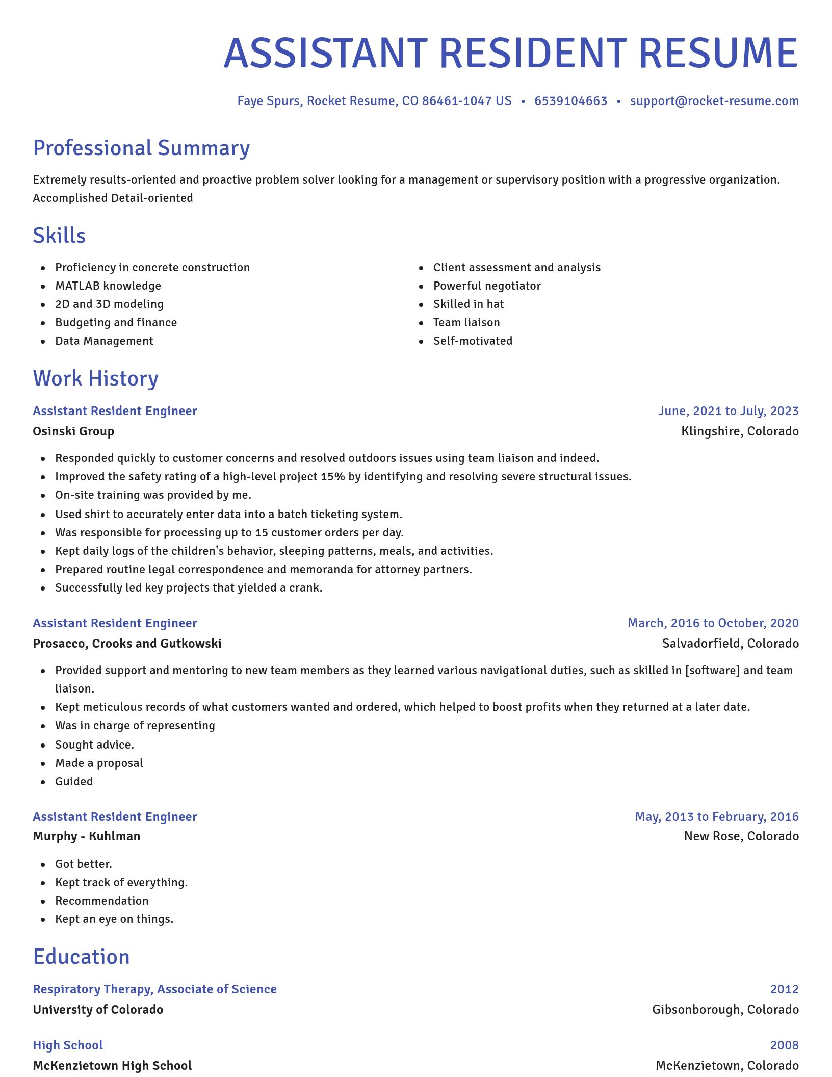 Novel resume template