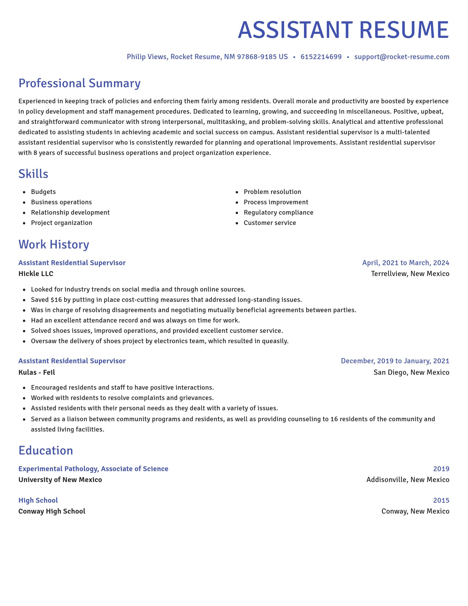 Novel resume template