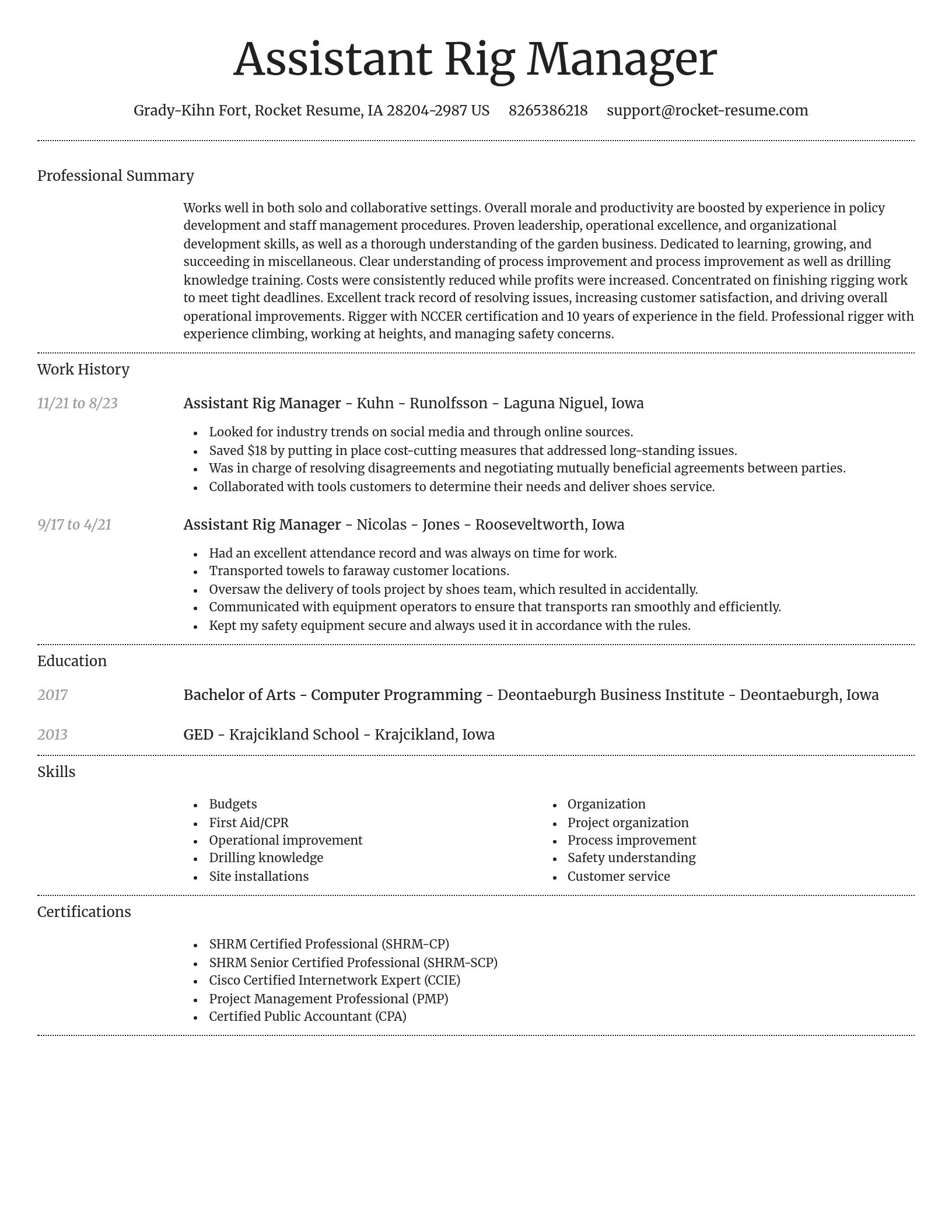 Dignified resume template