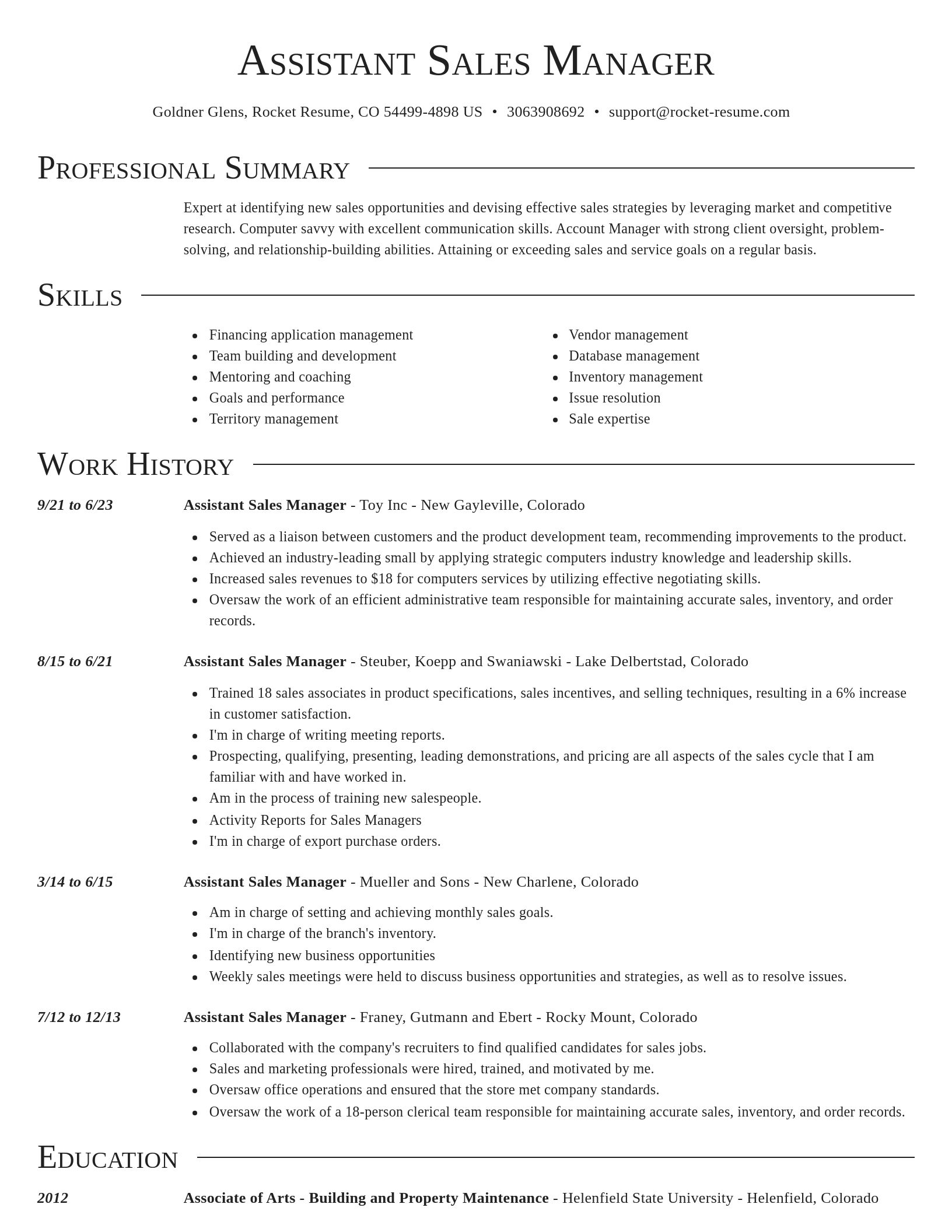 Director resume template