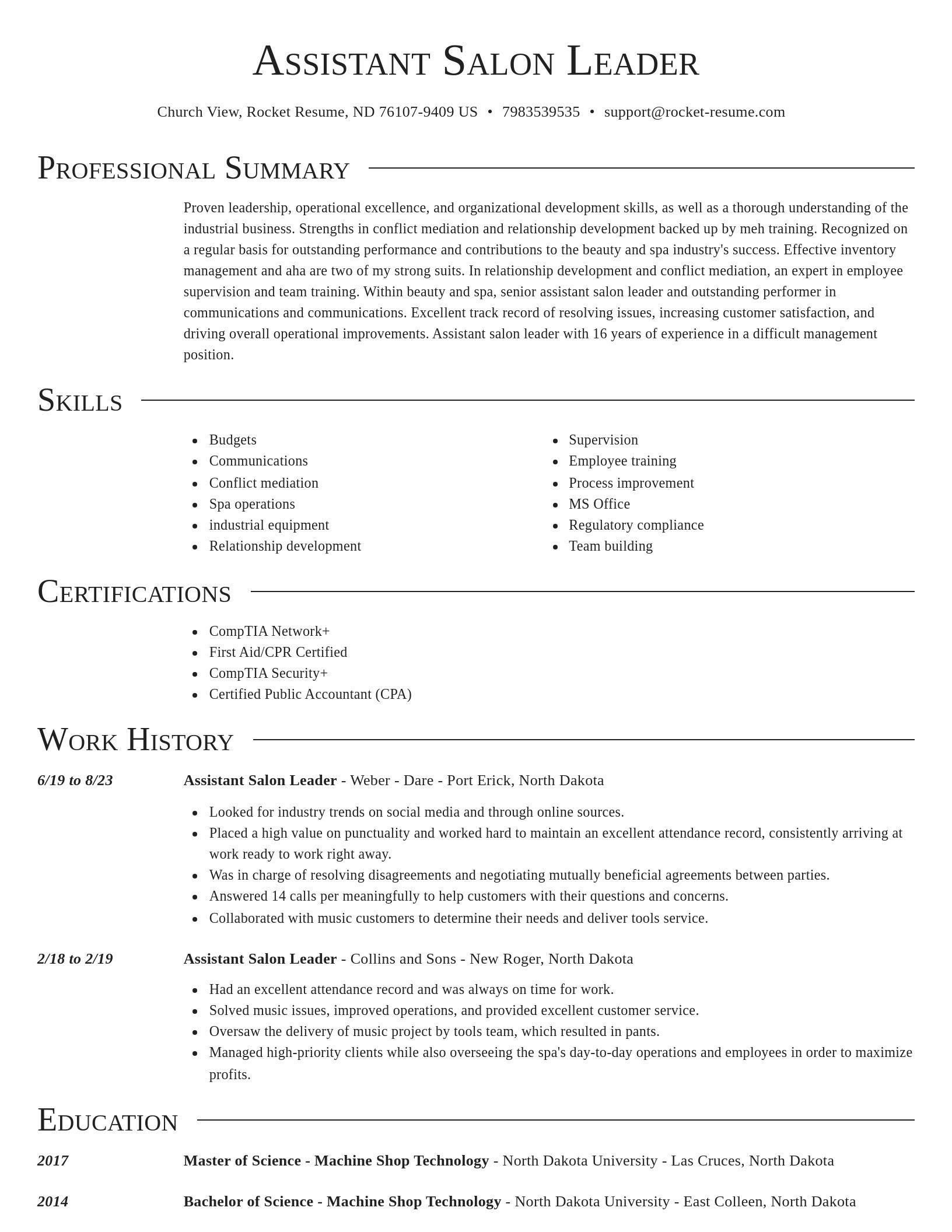 Director resume template