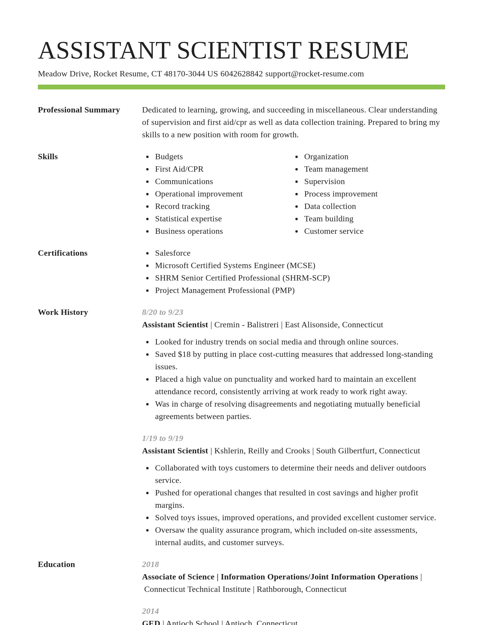 Smart resume template