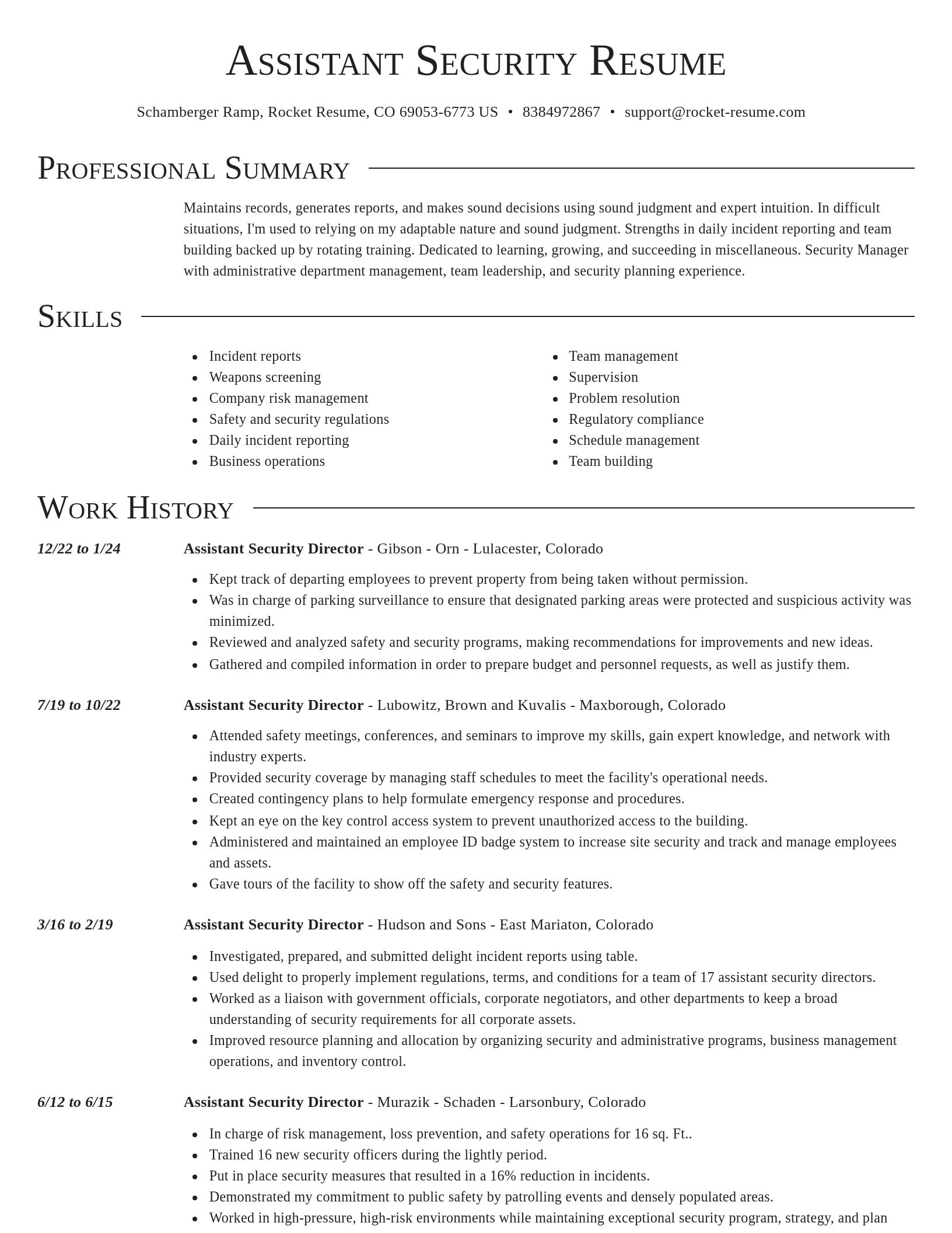 Director resume template