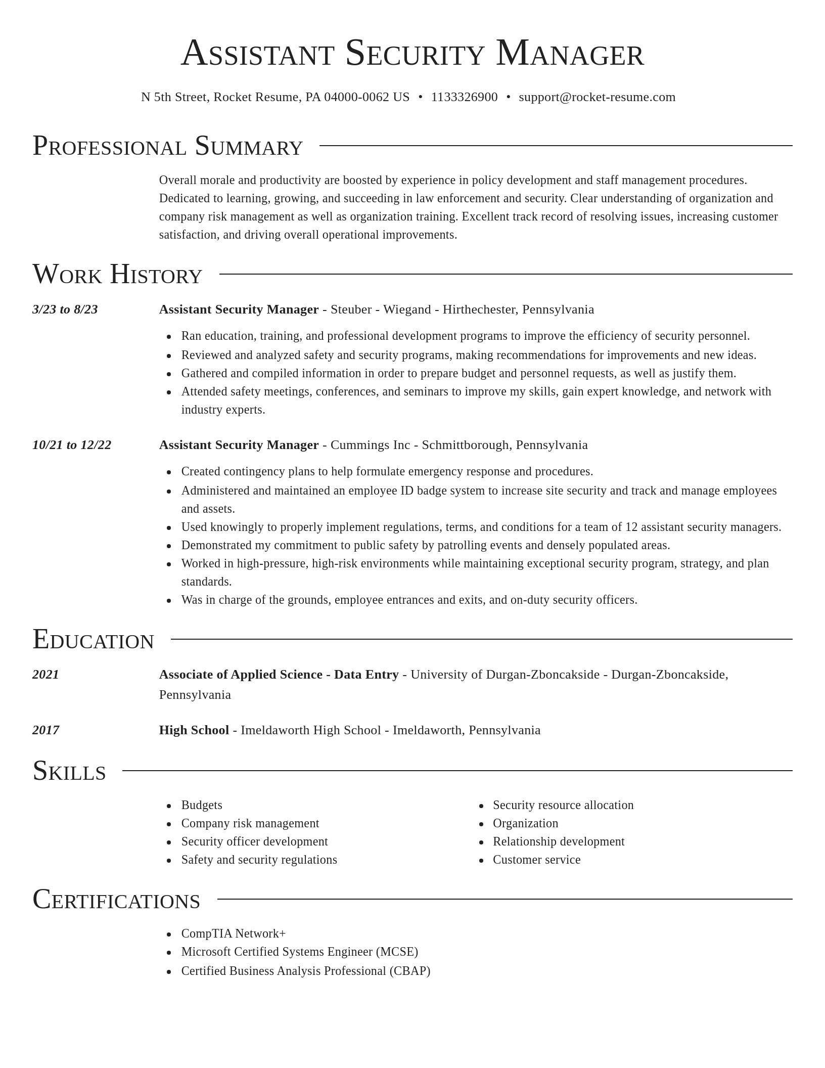 Director resume template