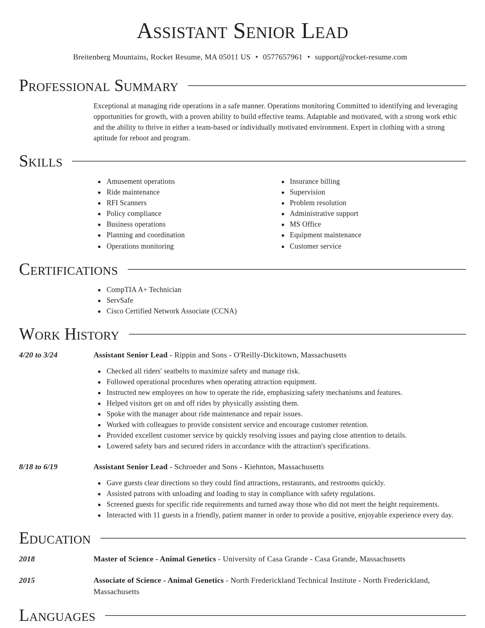 Director resume template
