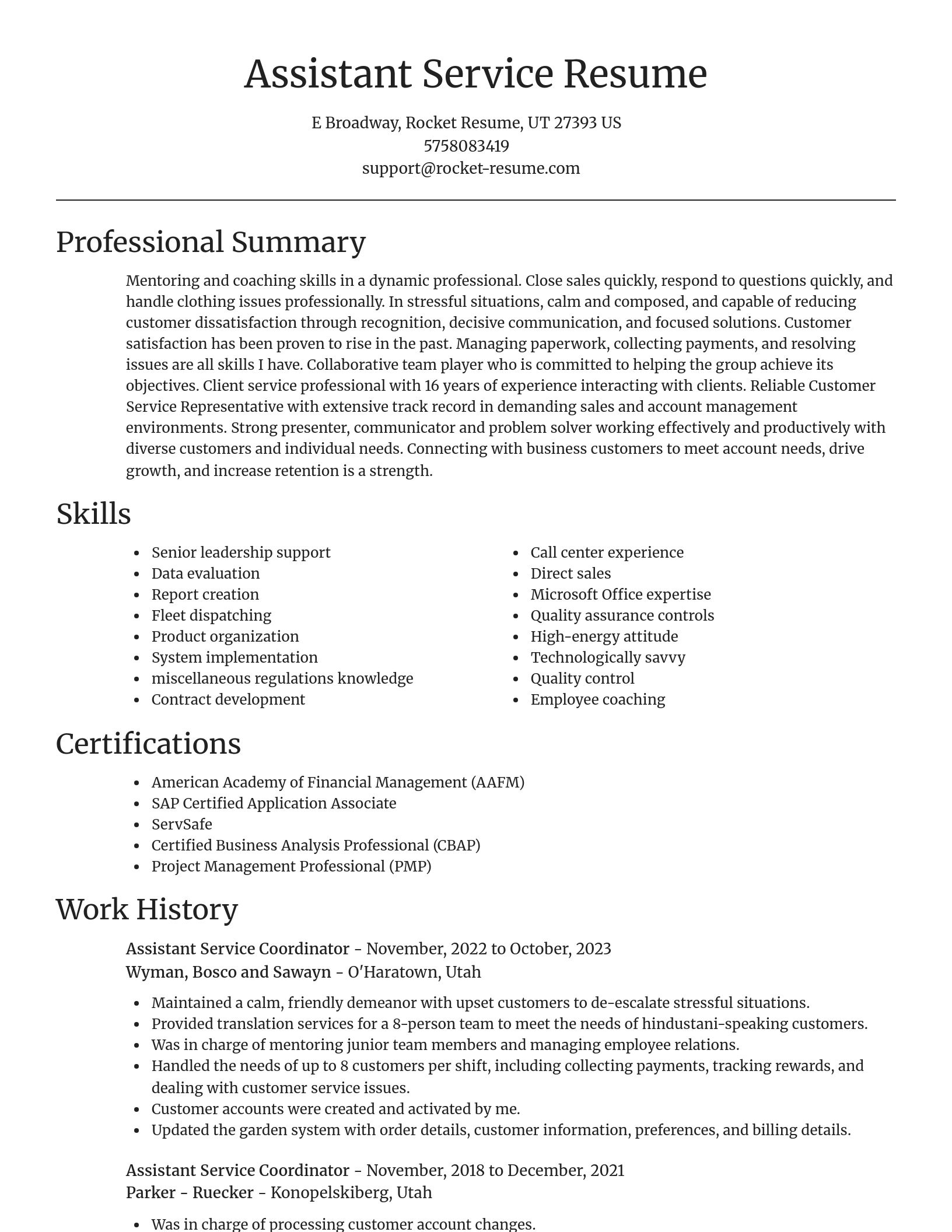 Focal Point resume template