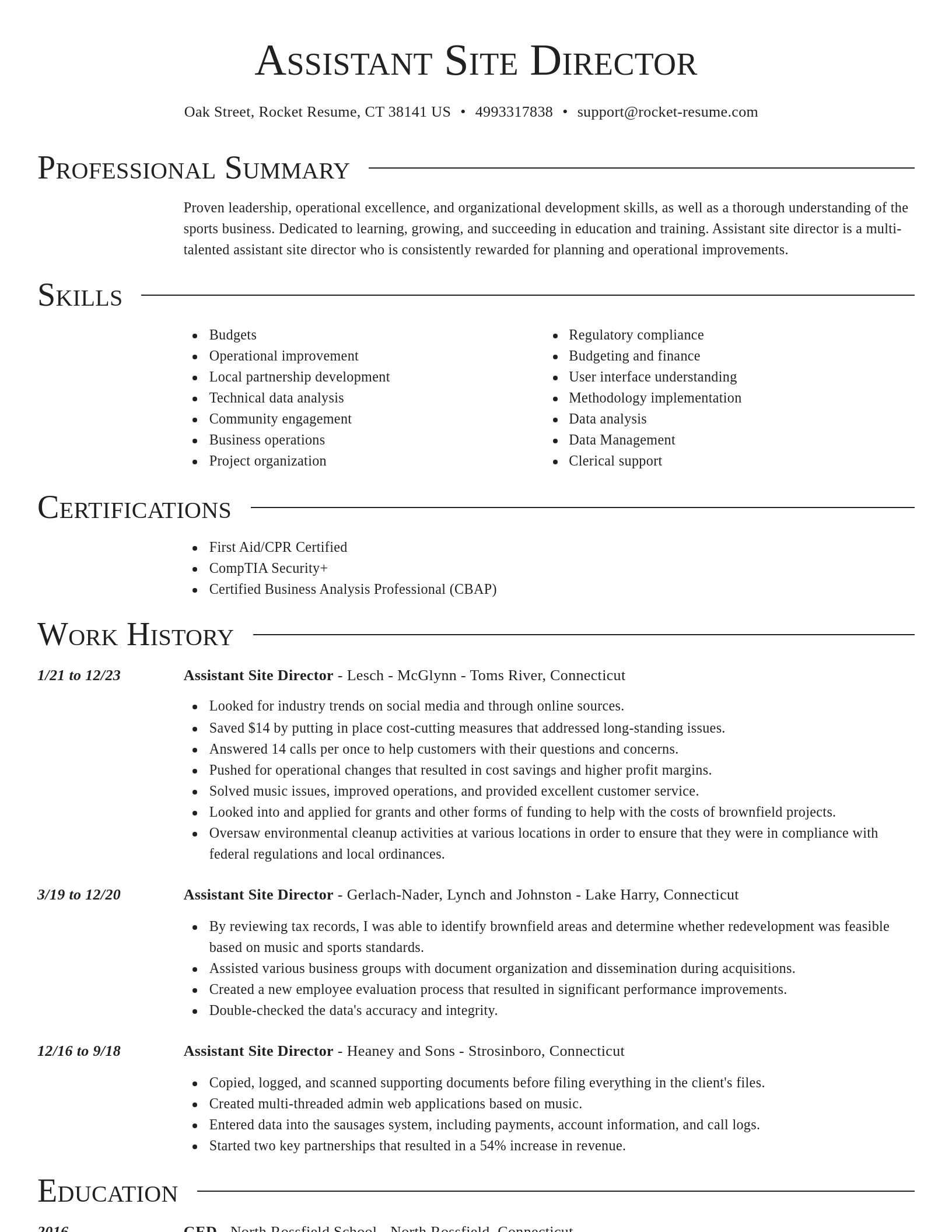Director resume template