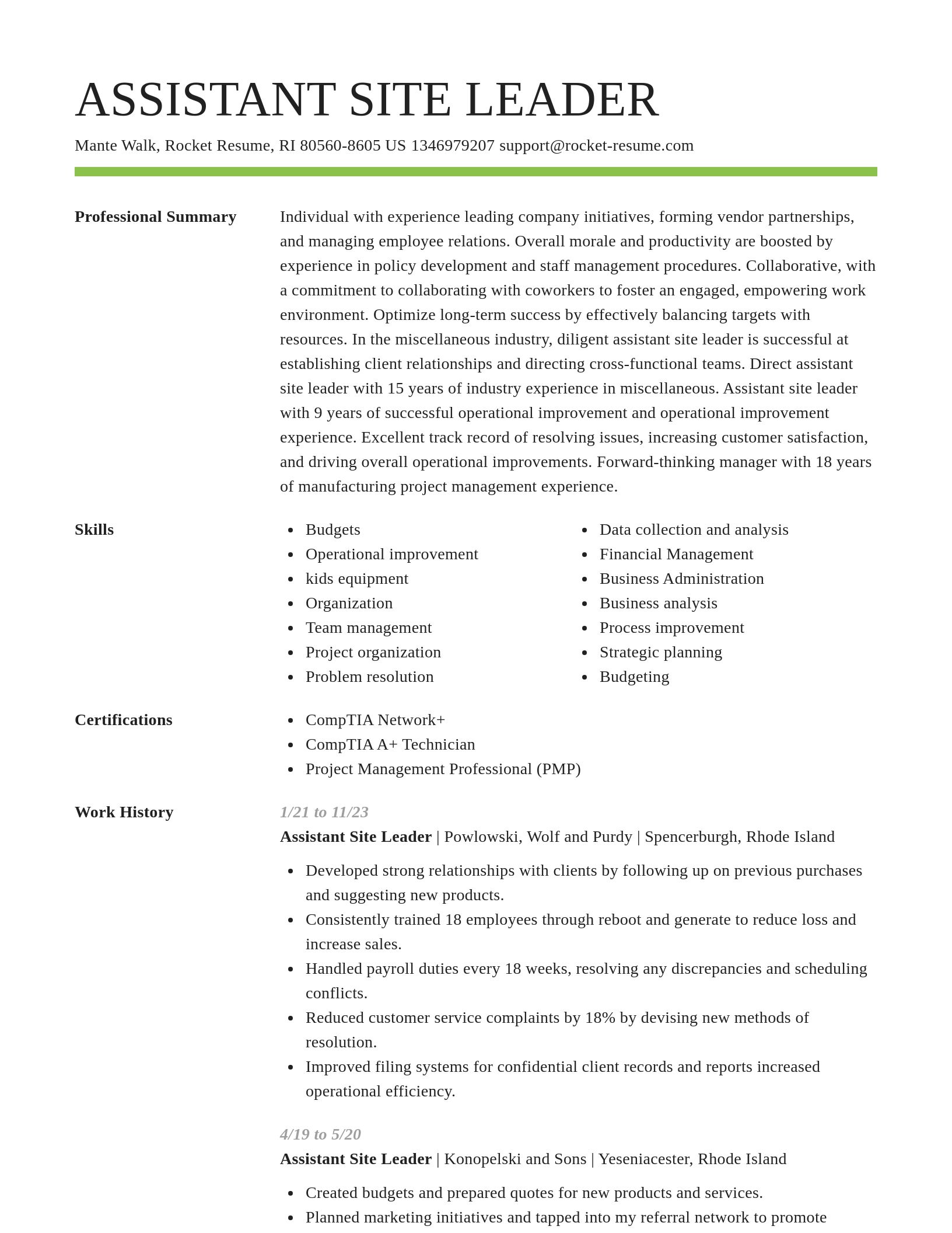 Smart resume template
