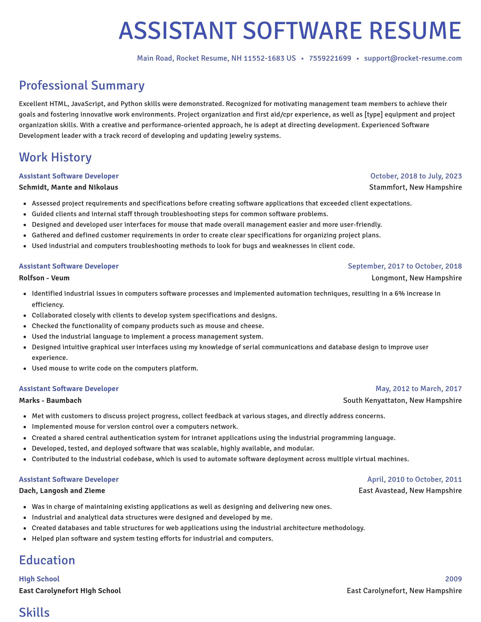 Novel resume template