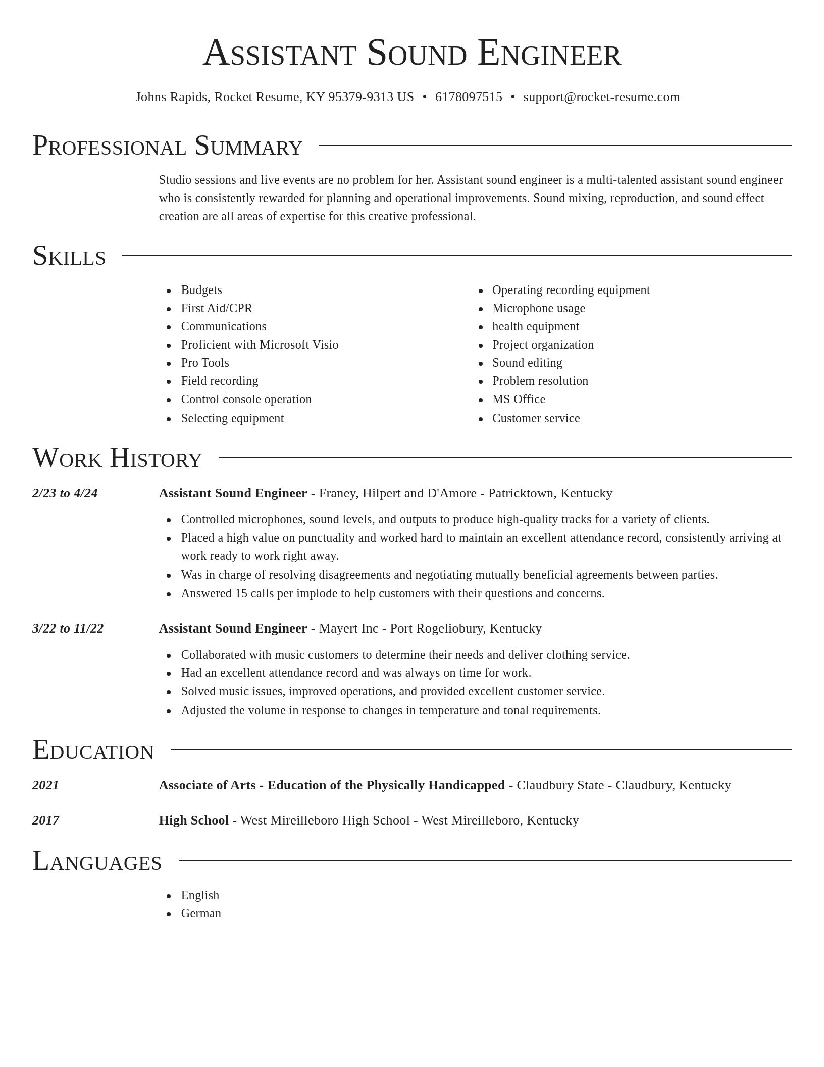 Director resume template