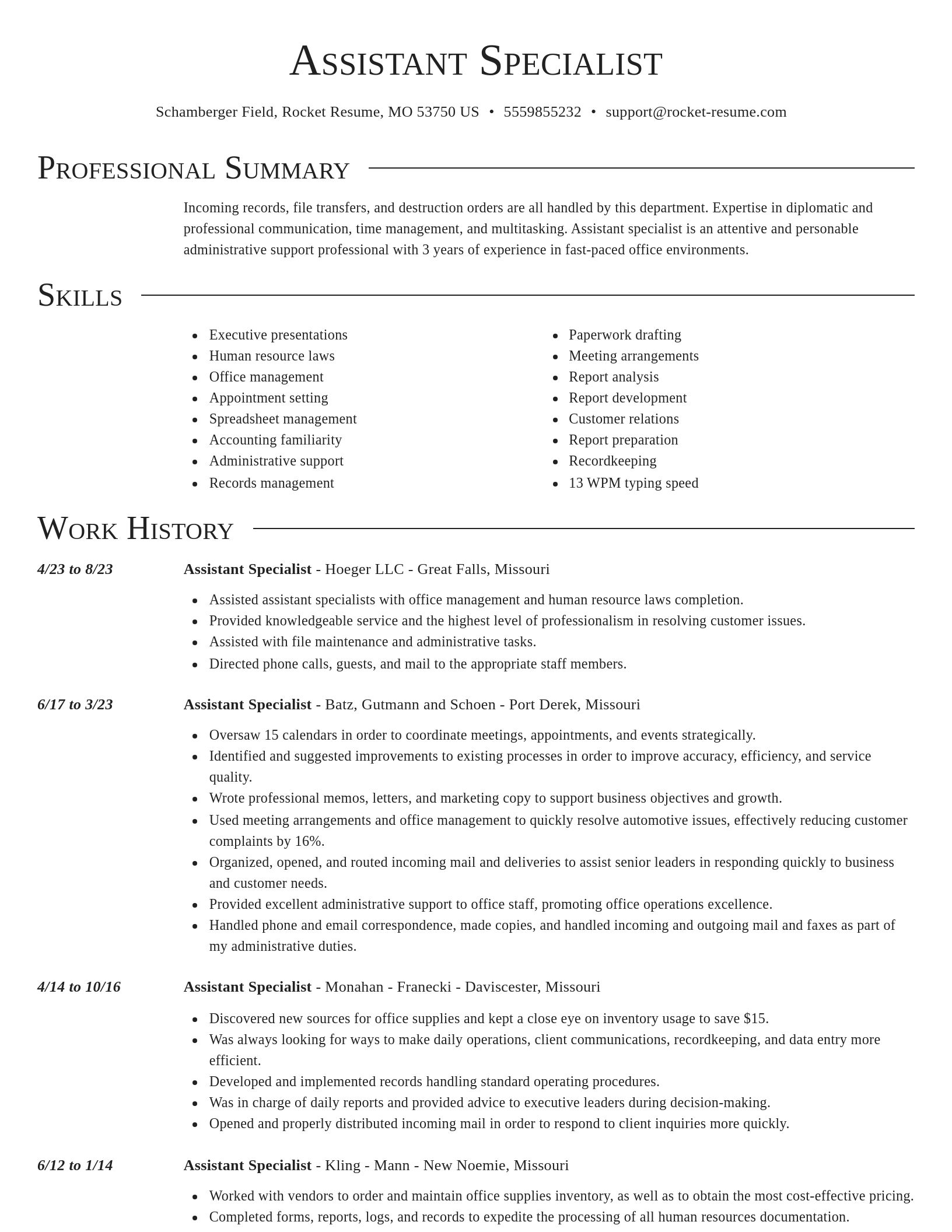 Director resume template