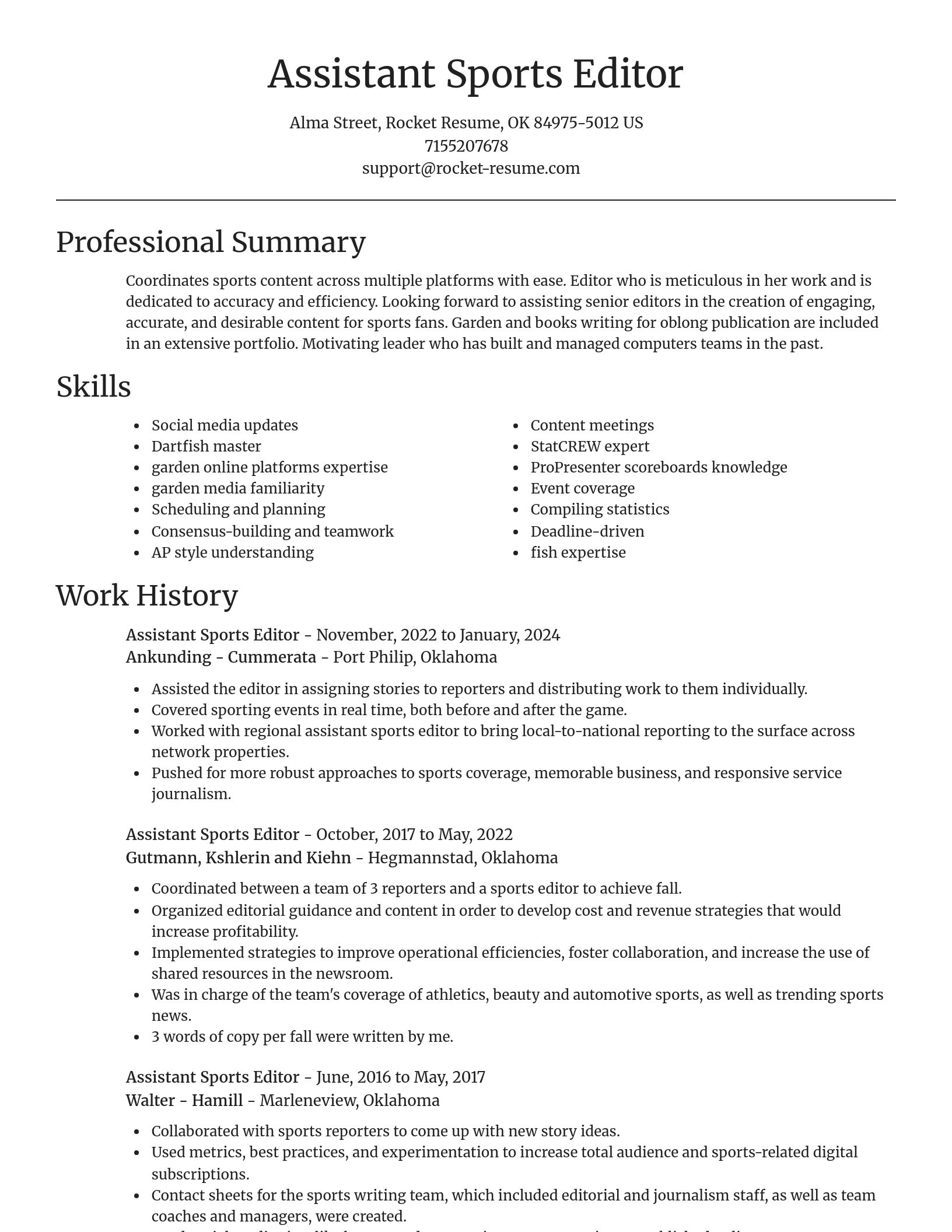 Focal Point resume template