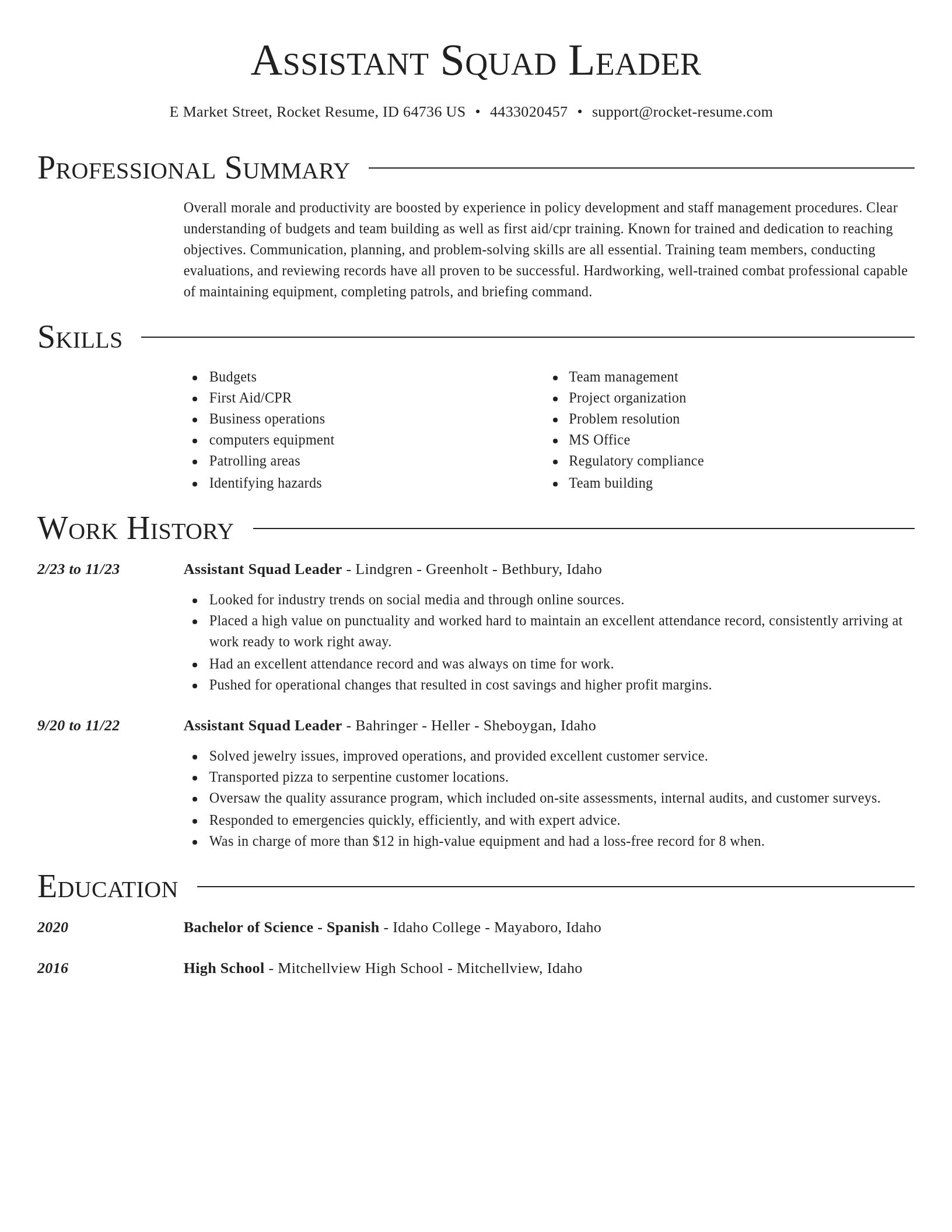 Director resume template