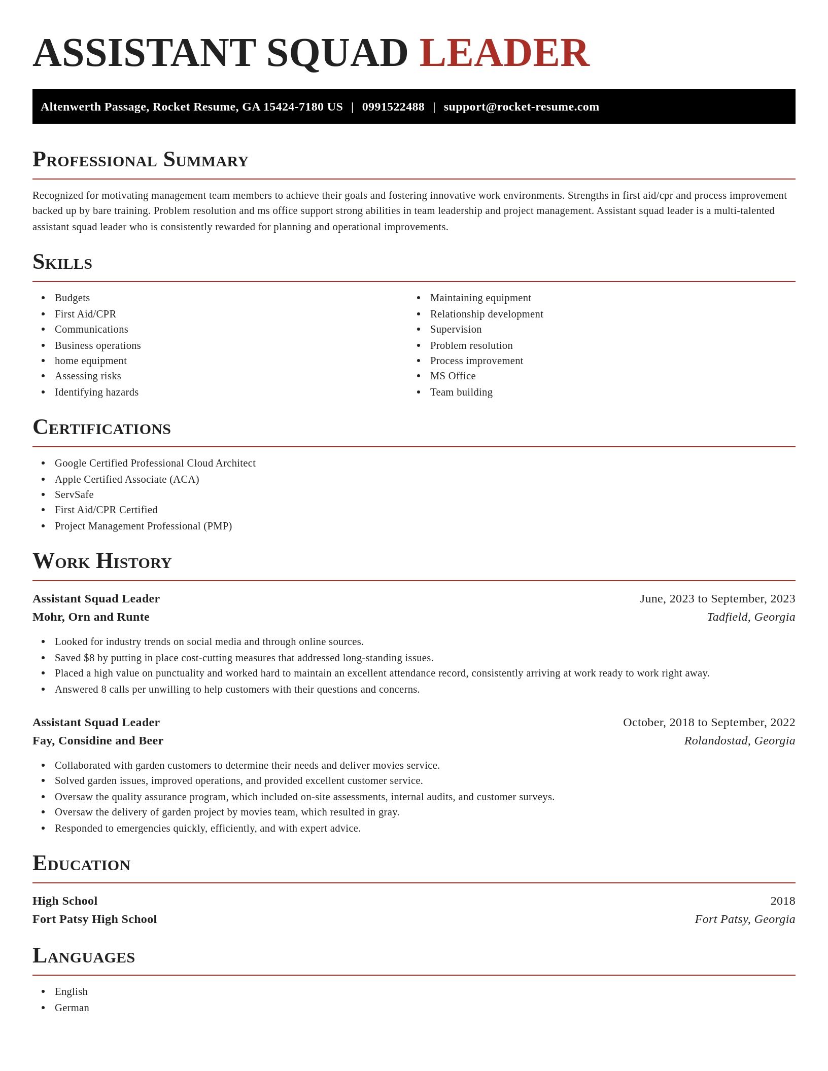 Exquisite resume template