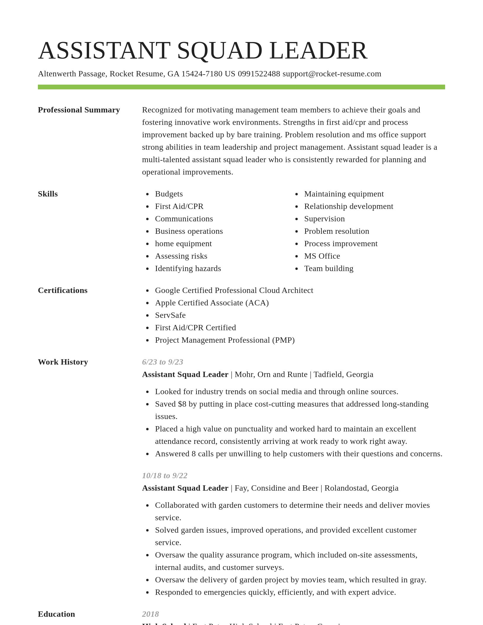 Smart resume template