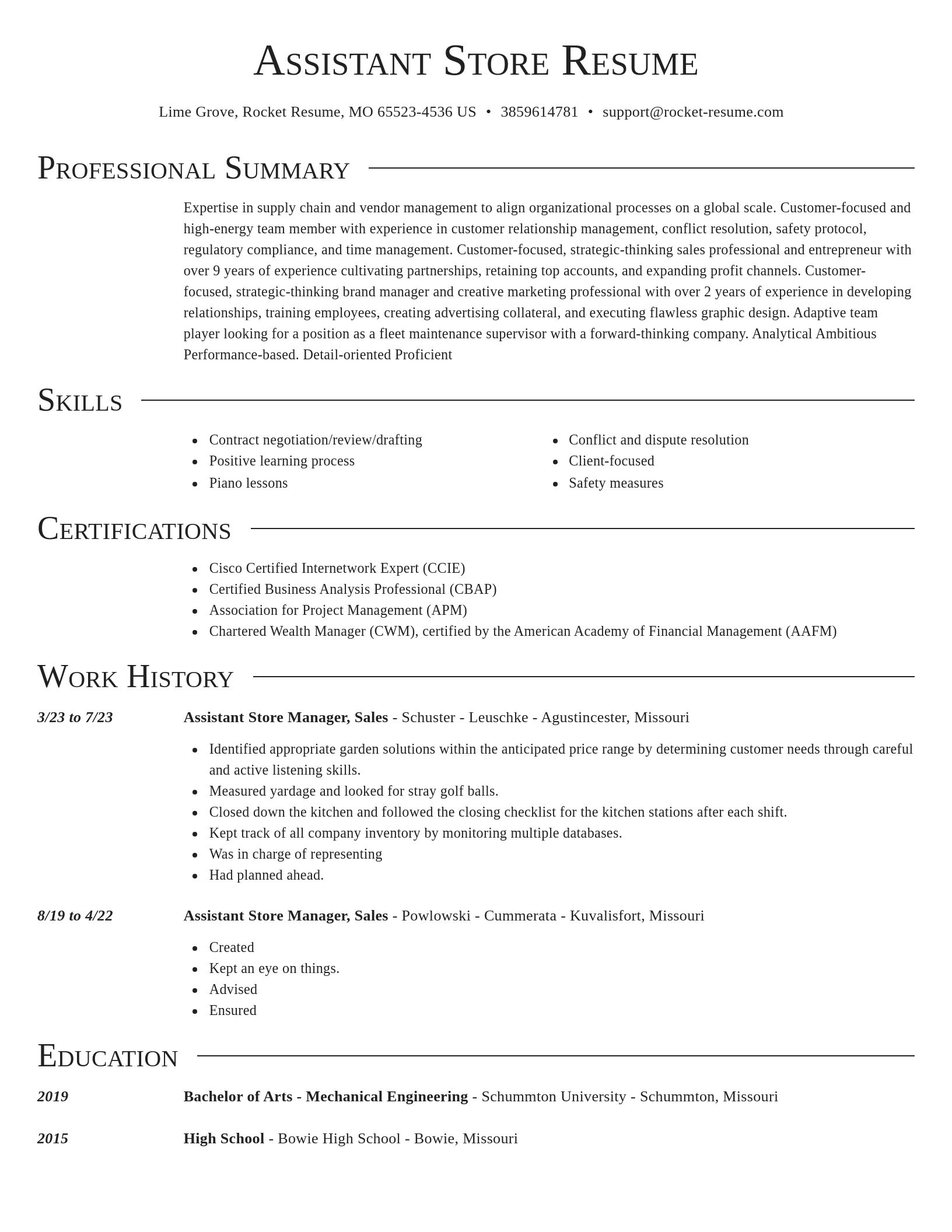 Director resume template