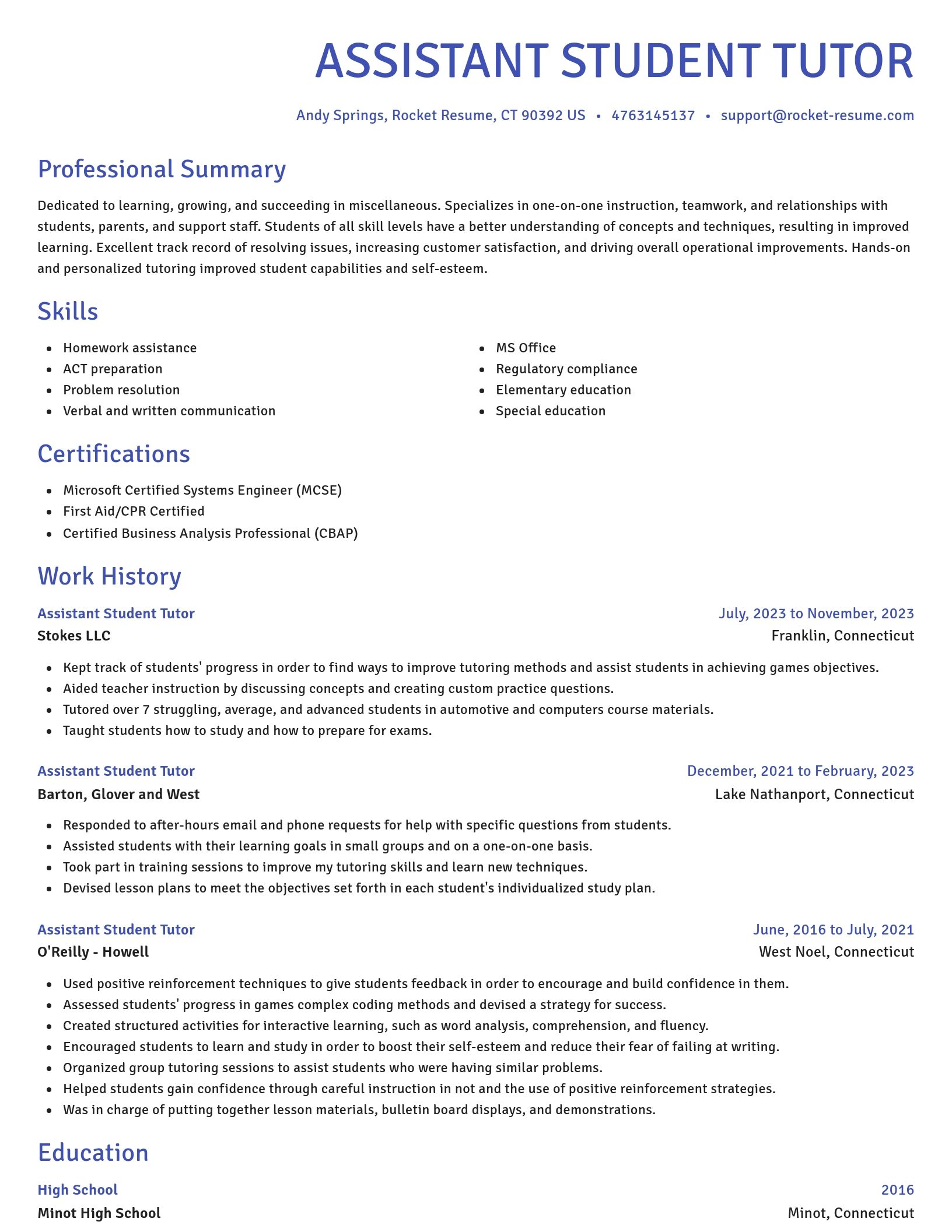 Novel resume template