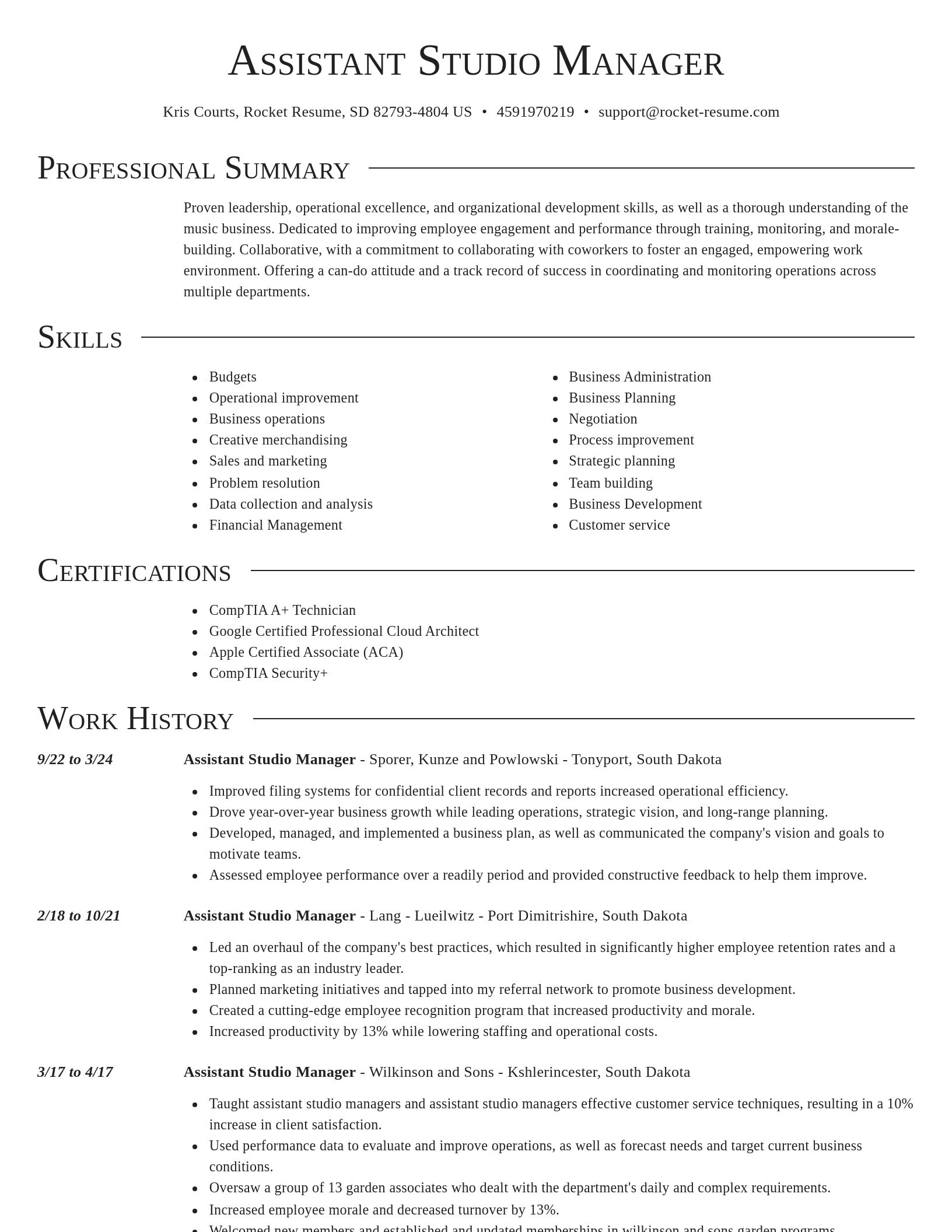 Director resume template